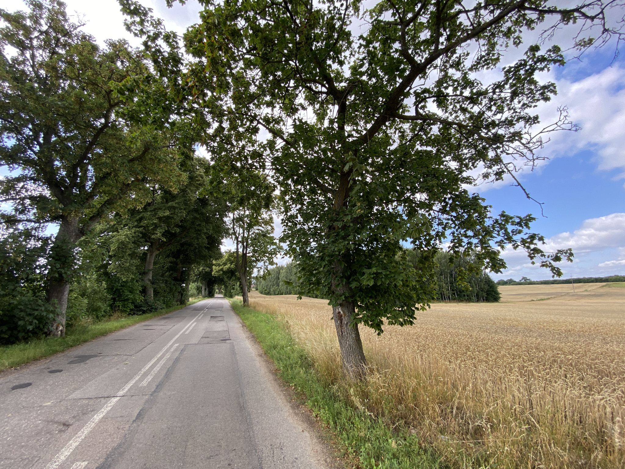 Dobrej jakości droga z pięknymi widokami. Ale kręta - lepiej włącz światła w rowerze.