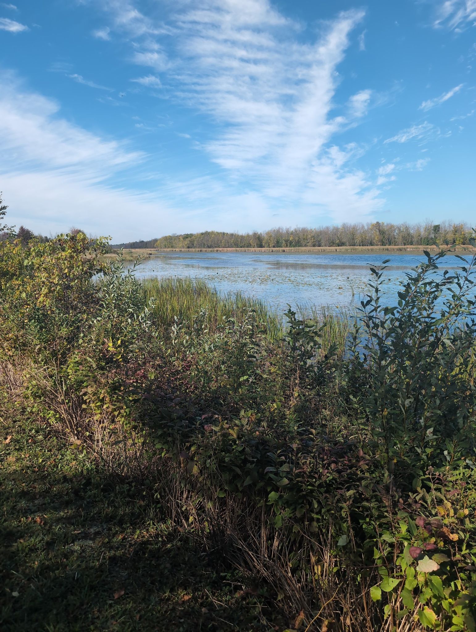 waterfront trail near Ingleside