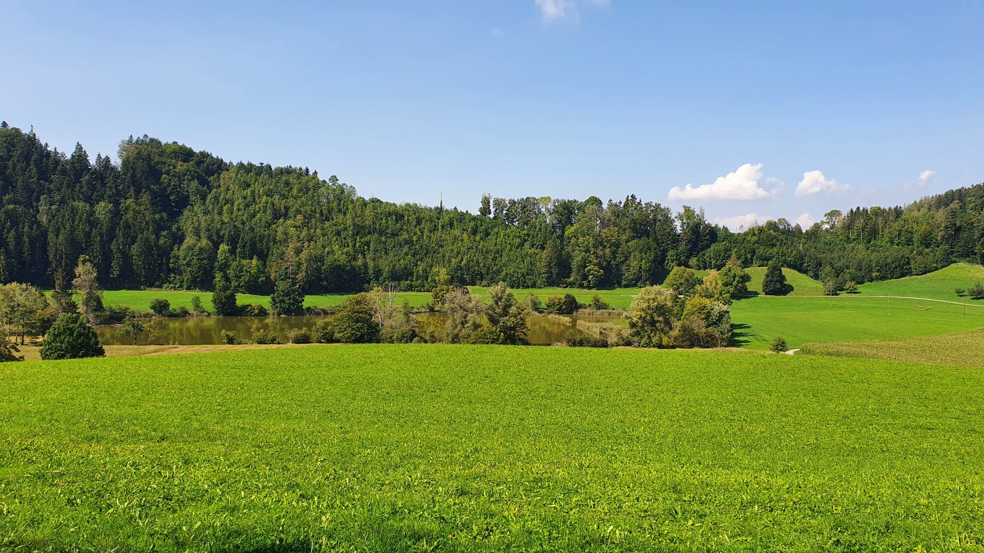 Moswanger-Weiher
