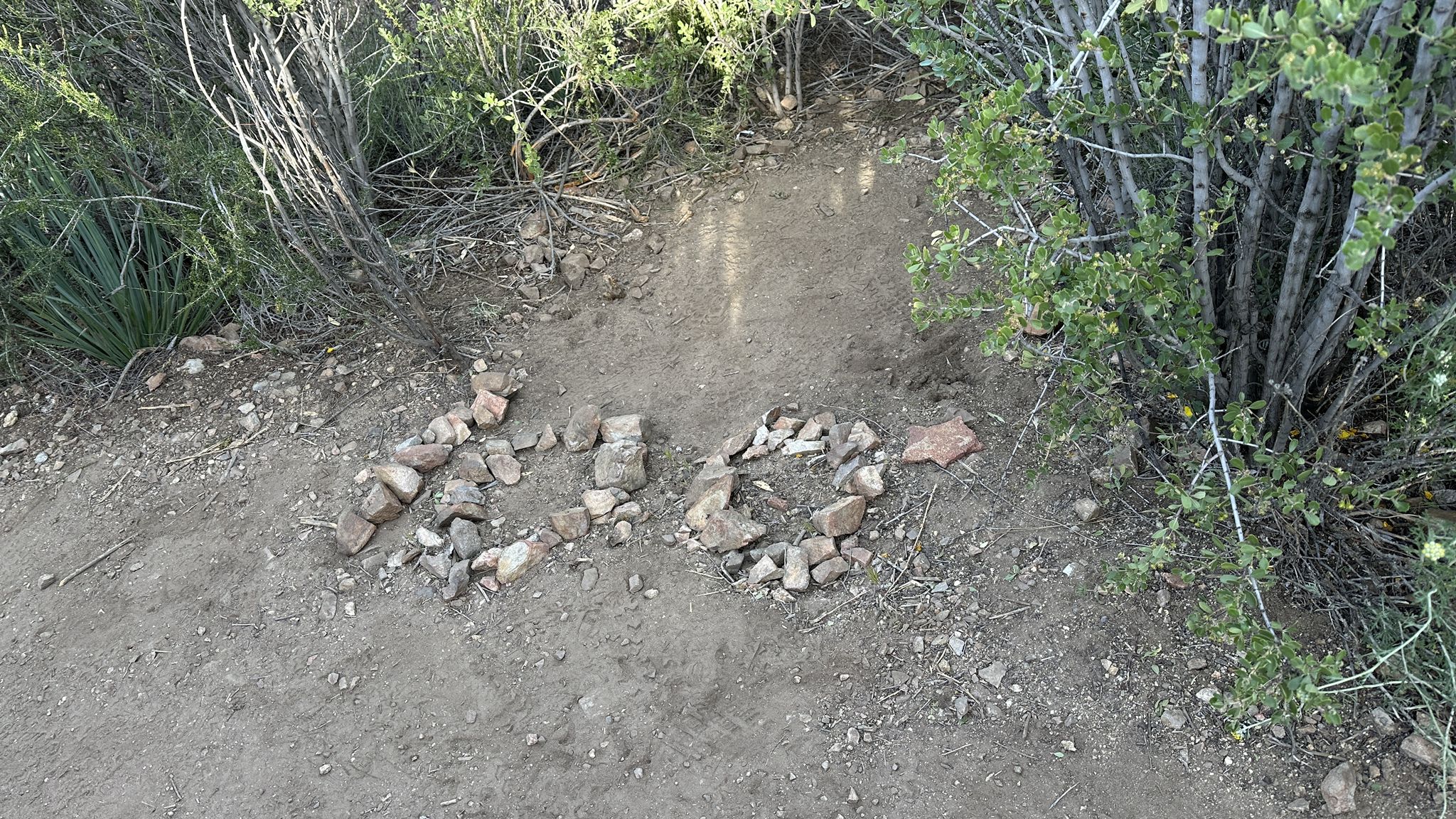 Rocks spell '200' on a dirt path surrounded by dry brush. - PCT to Montezuma Valley Overlook