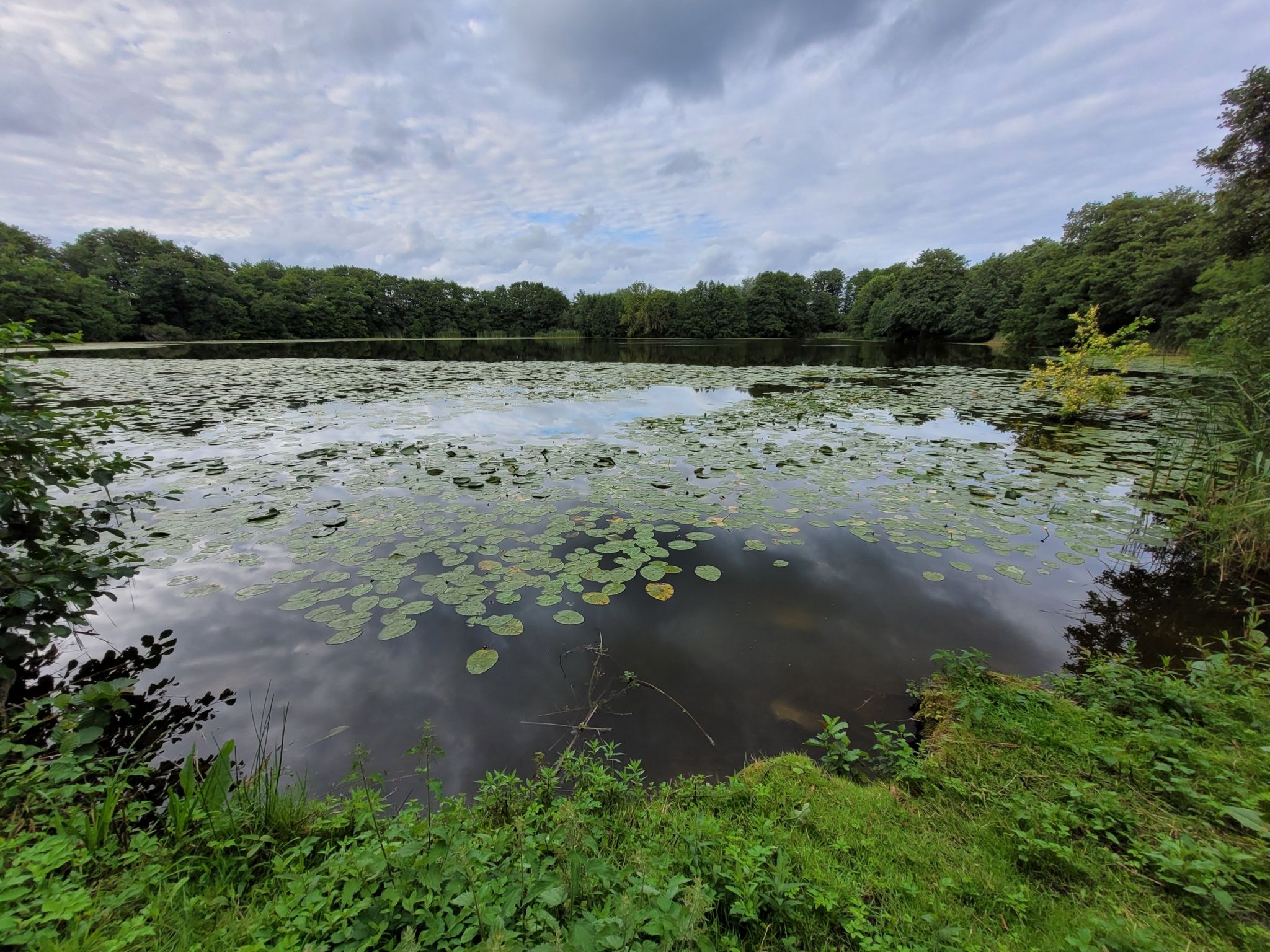 Rammsee (Es gibt zwei davon in S-H.)