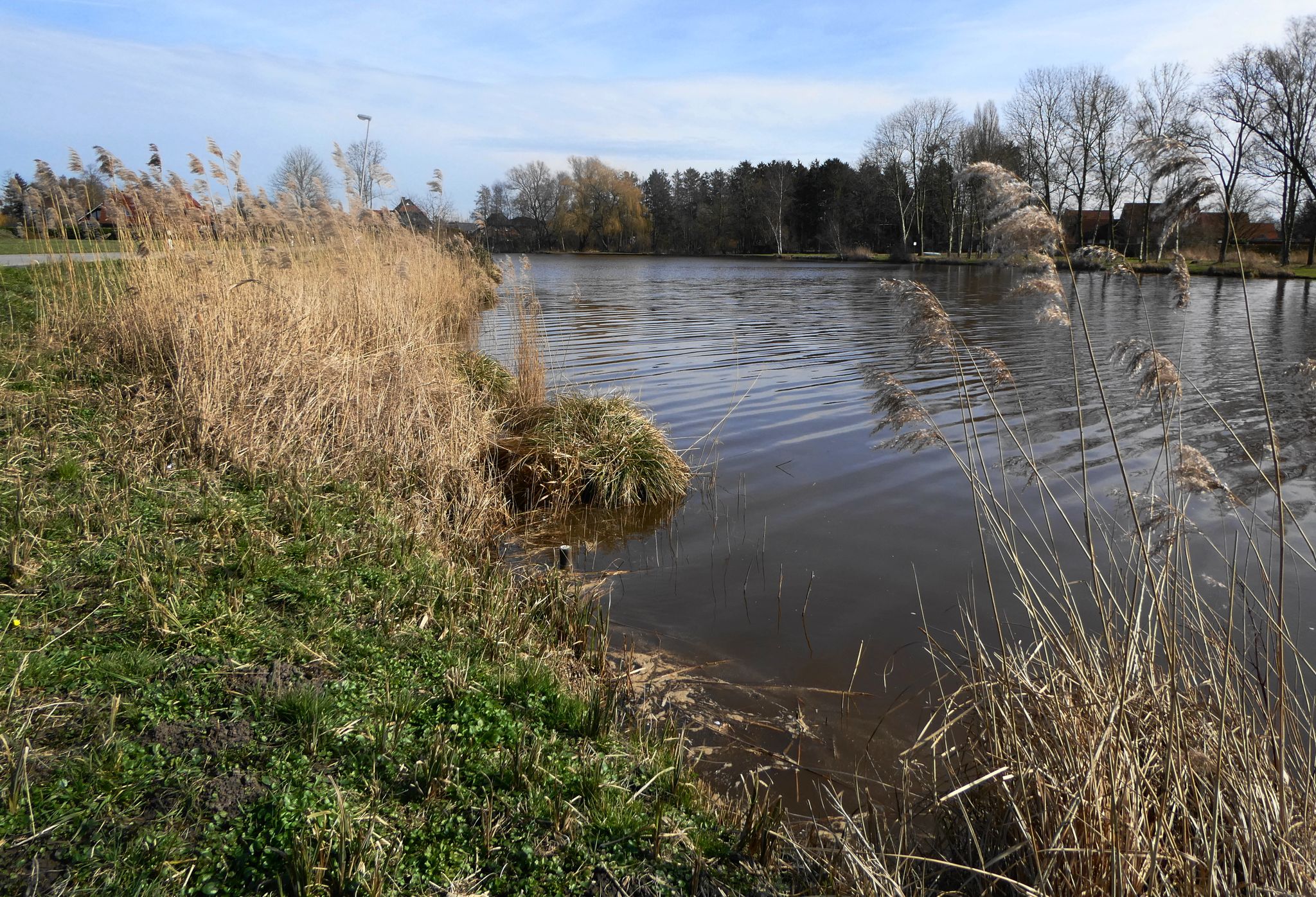 Ortsausfahrt Wischhafen - Brache