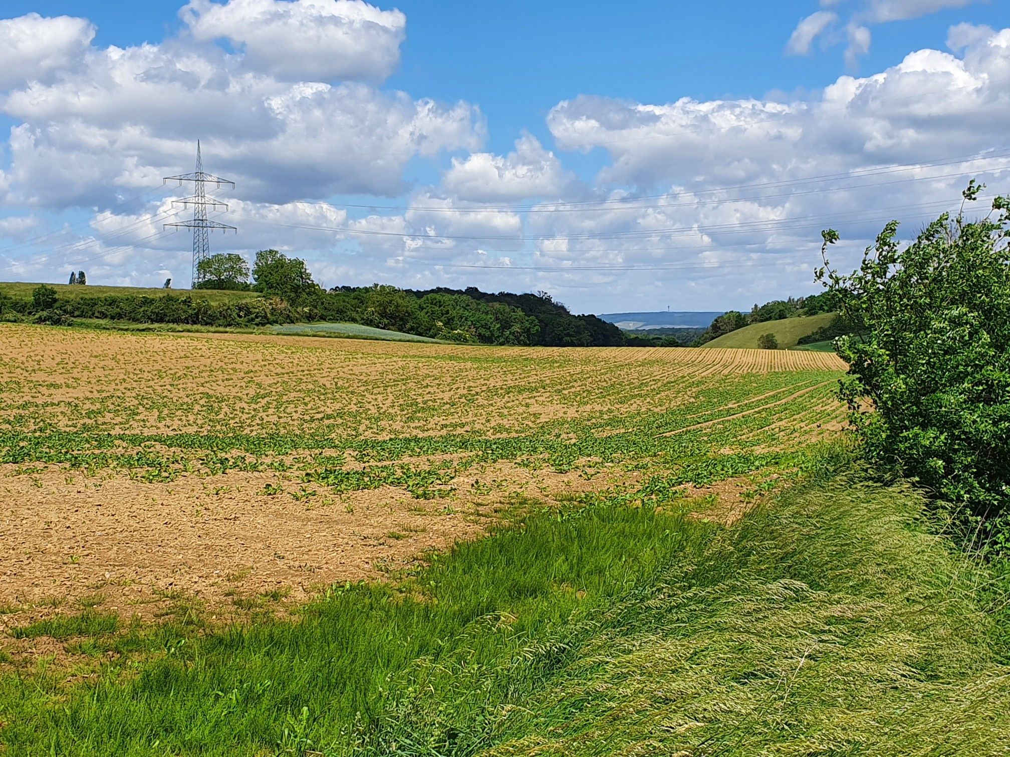Ausblick Richtung Stromberg