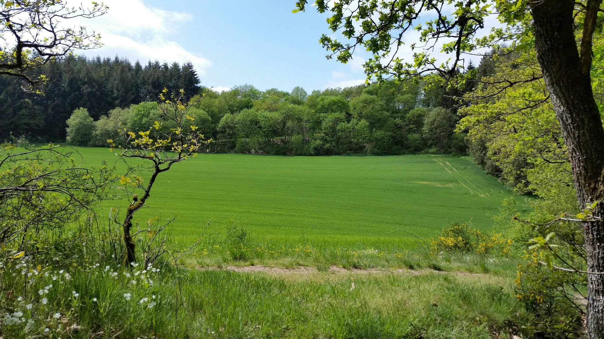 Pausenblick