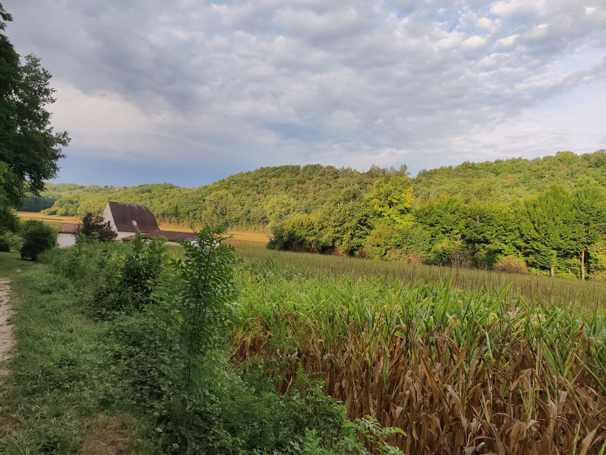 Valley of maize