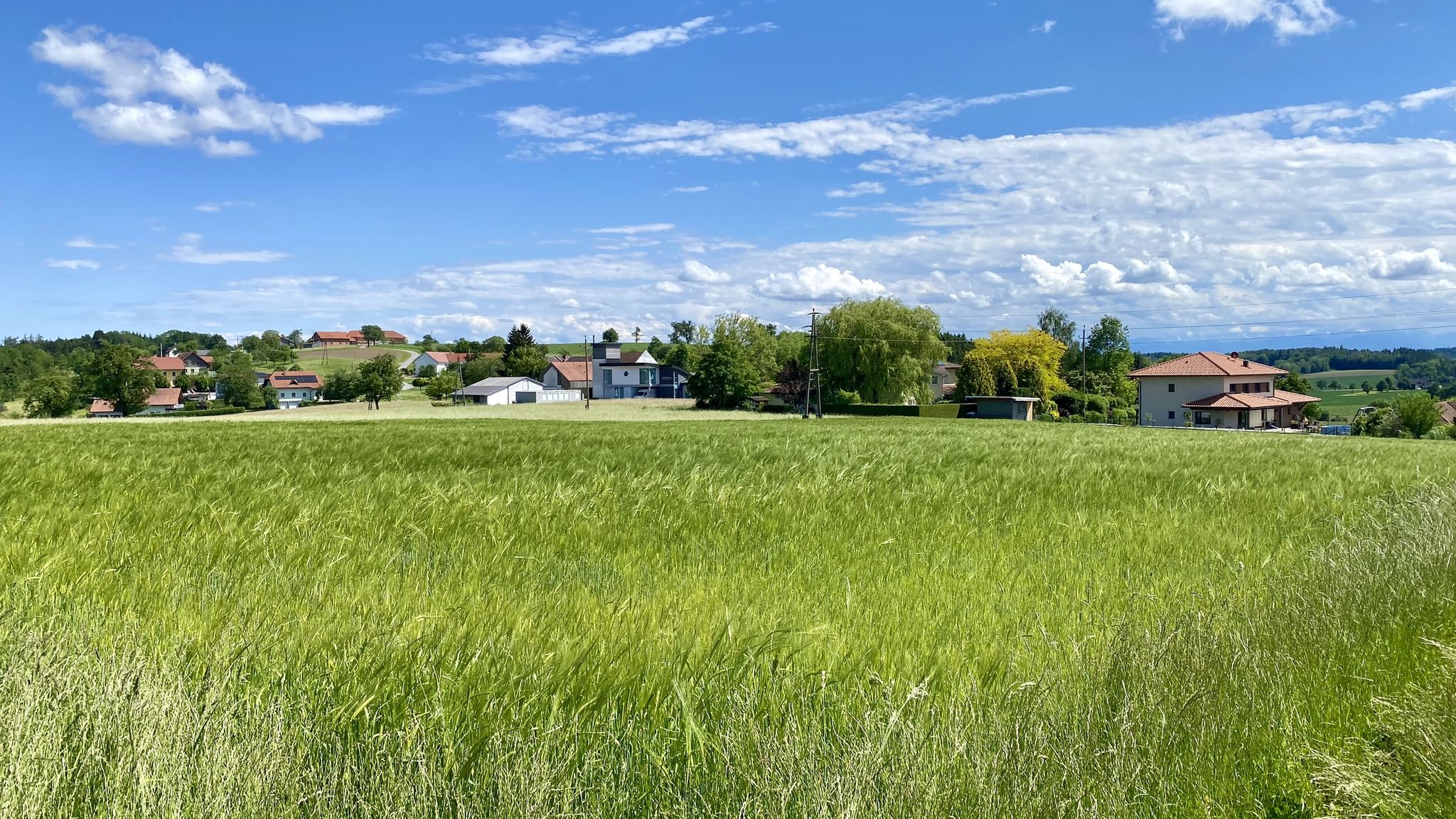 2. Feldweg "verborgen" (bei Wackersbuch)