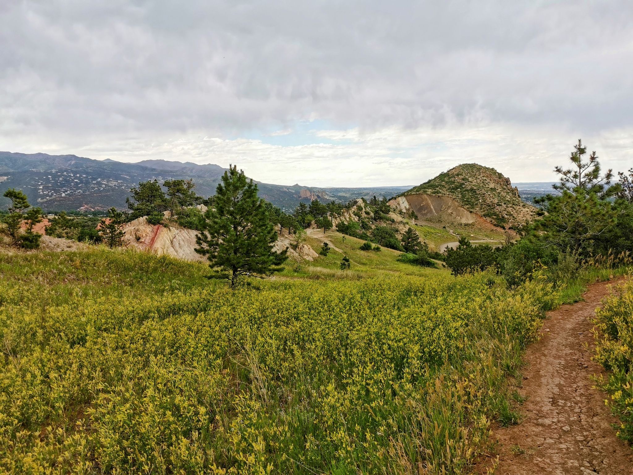 Dirt trail through a field of yellow wildflowers with rocky hills under cloudy skies. - Codell, Chamberlain, Meadow, Parallel, Red Rock Overlook, and Rim Loop