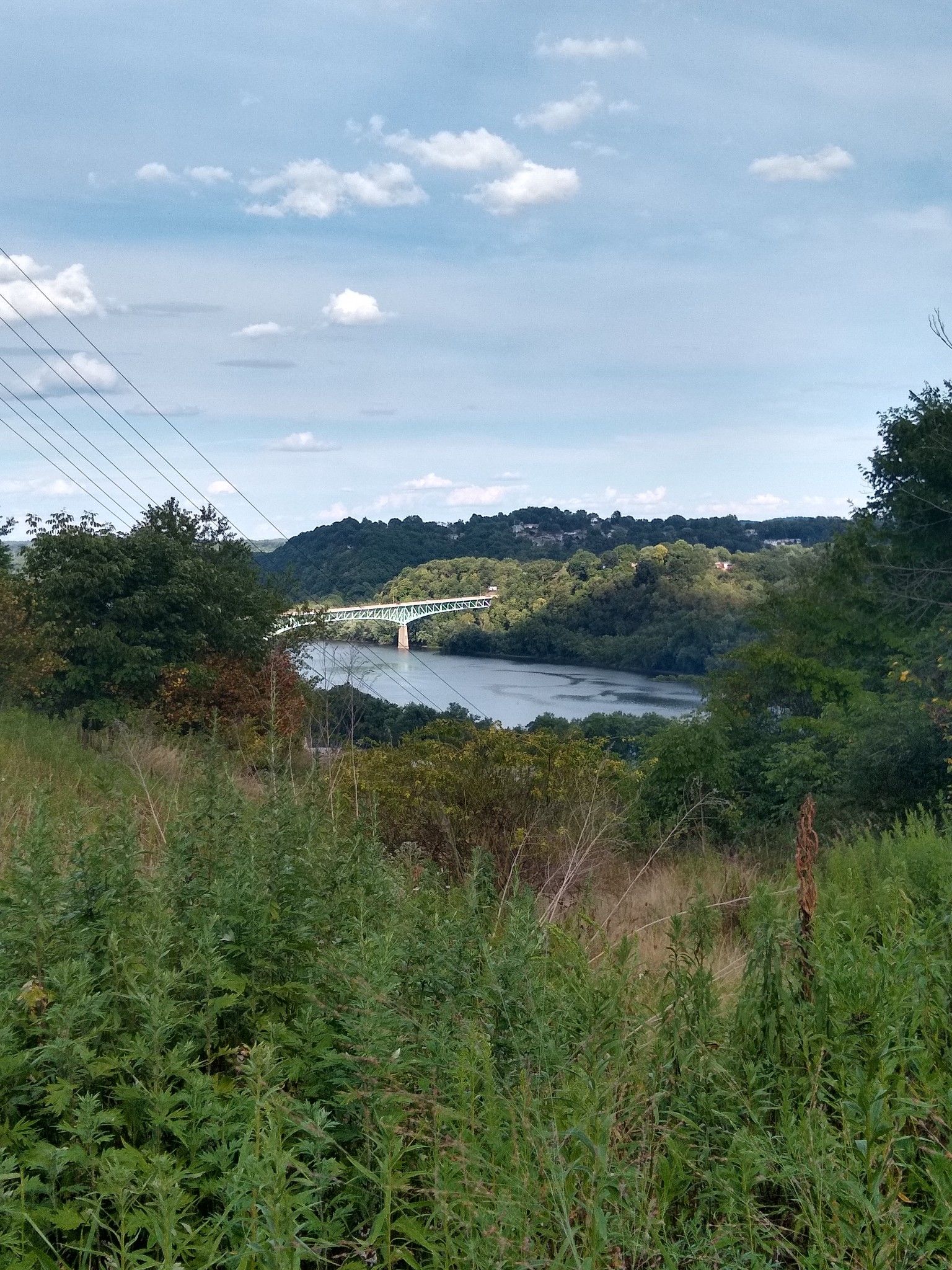 Overlook of a river and distant bridge through green foliage. - Rachel Carson Trail: Bull Creek to Crawford Run