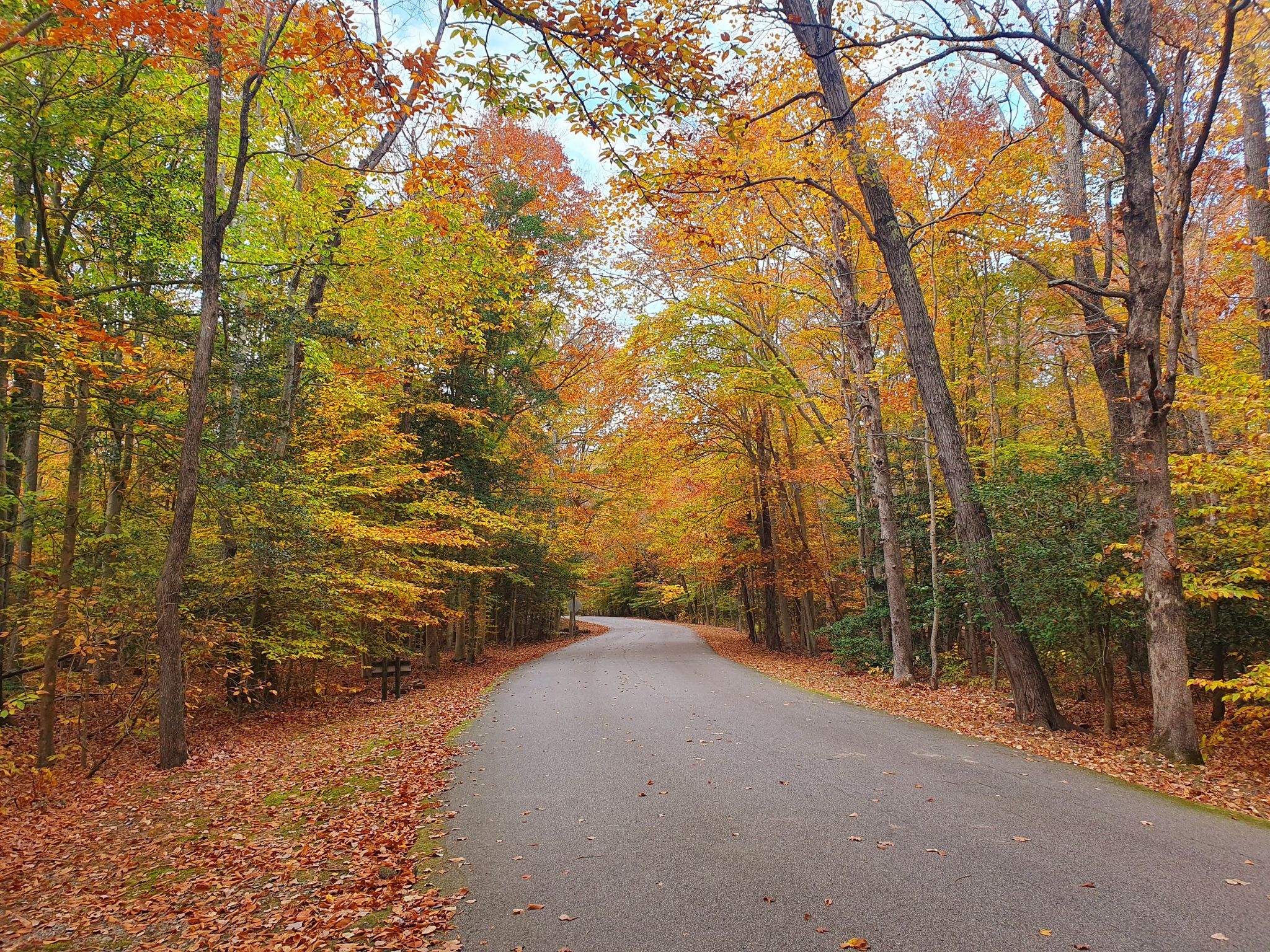 Paved road winding through a vibrant autumn forest with colorful leaves. - Eagle Spur Trail