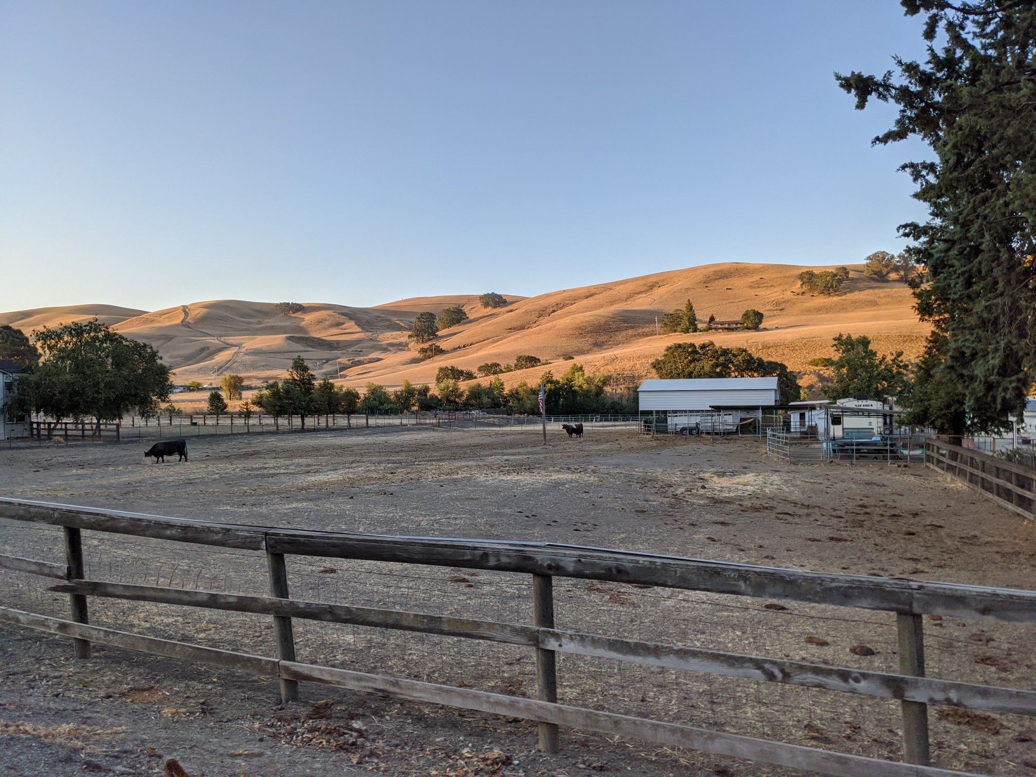 Golden hour light on a fenced farm field with buildings and distant hills. - Sunol Depot loop
