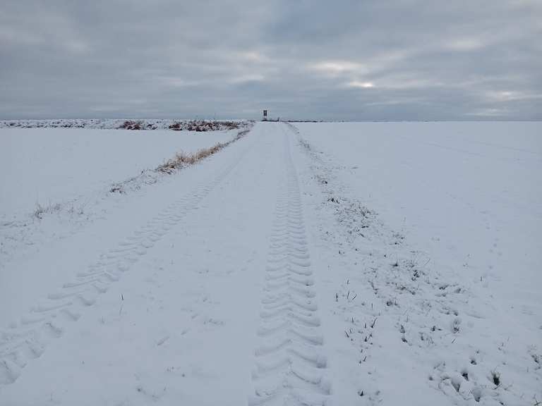 Durch den Schnee stapfen | Wanderung | Komoot