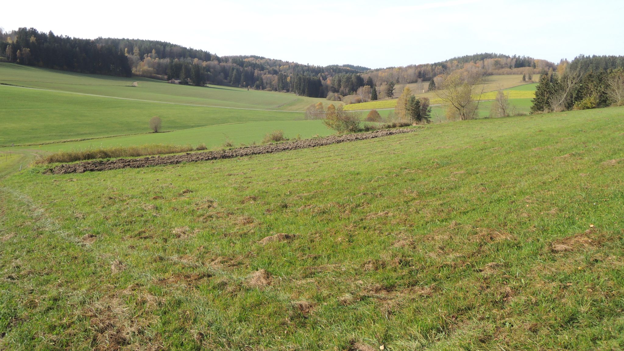 Blick rechts von Eisenhut zur Grenze - Alternativroute ... ebener auf Asphalt nach Wullowitz