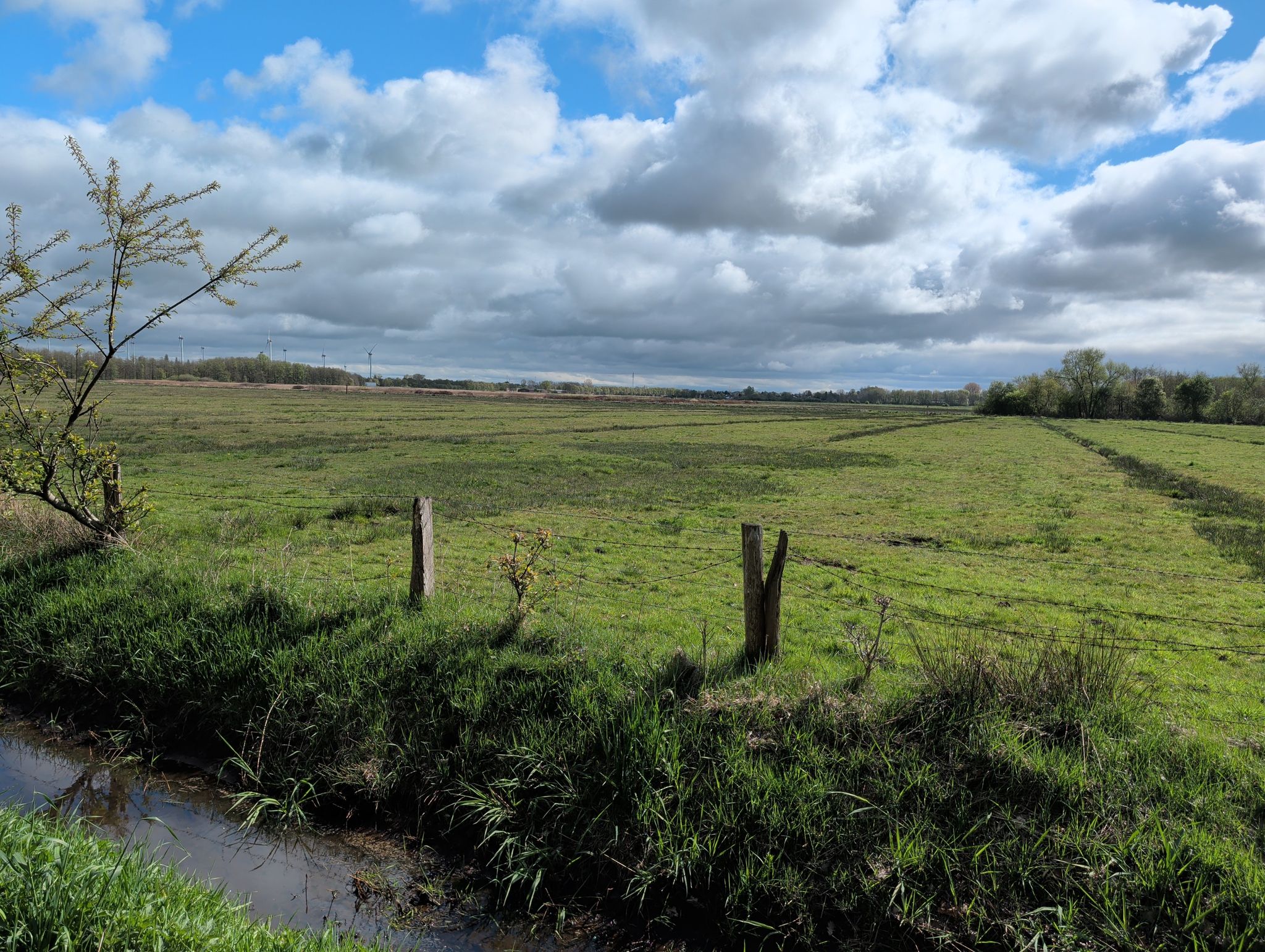 meentelande 