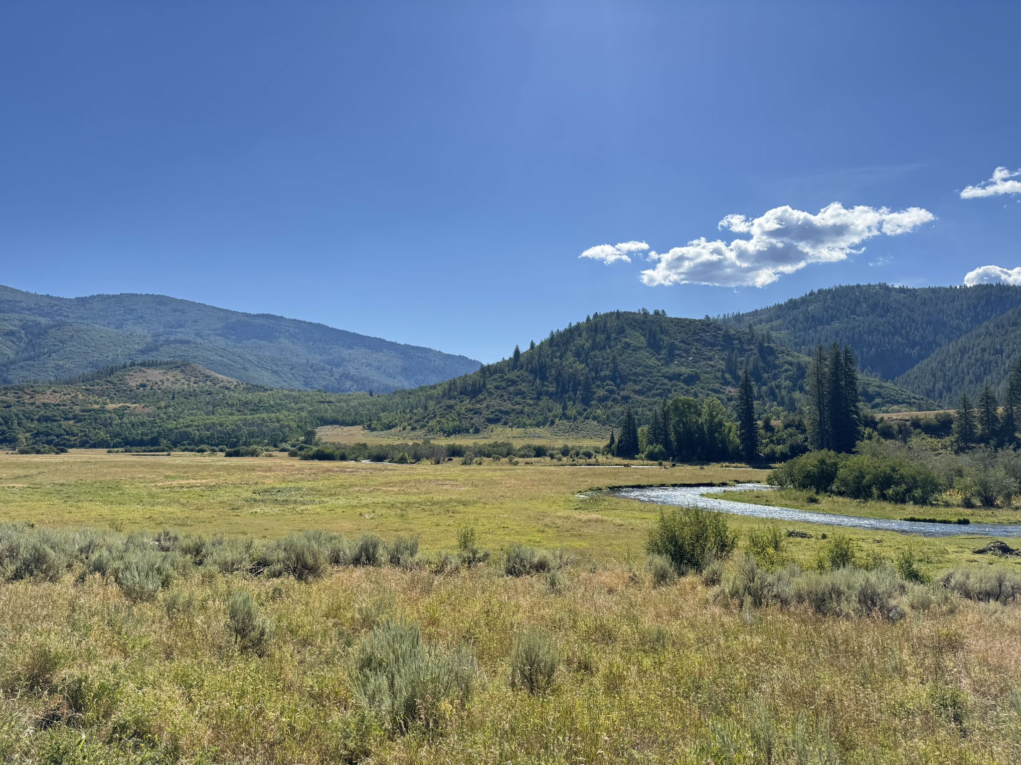 A wide green valley with a winding river and distant mountains under a bright sky. - Yampa riverside park – Hot Springs loop from Riverside Plaza