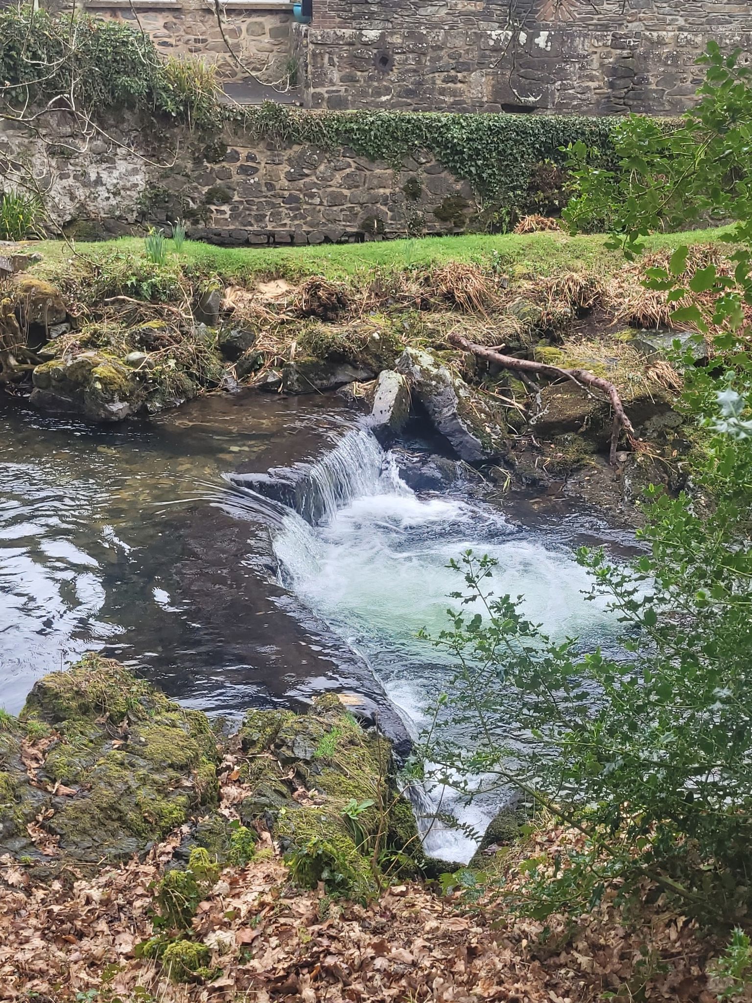 The river at the start
