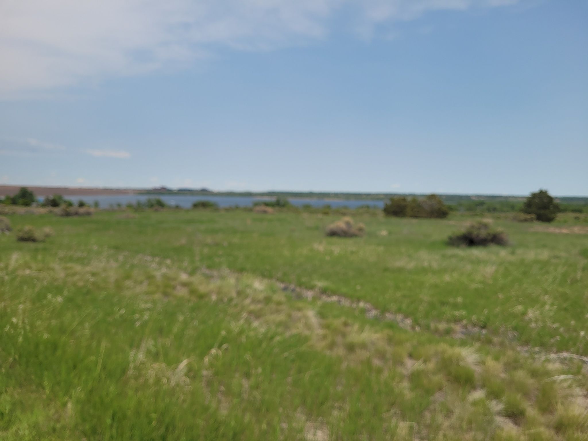 Green grassy field with small bushes, leading to a distant lake. - Cherry Creek Spur Trail loop from Arapahoe at Village Center