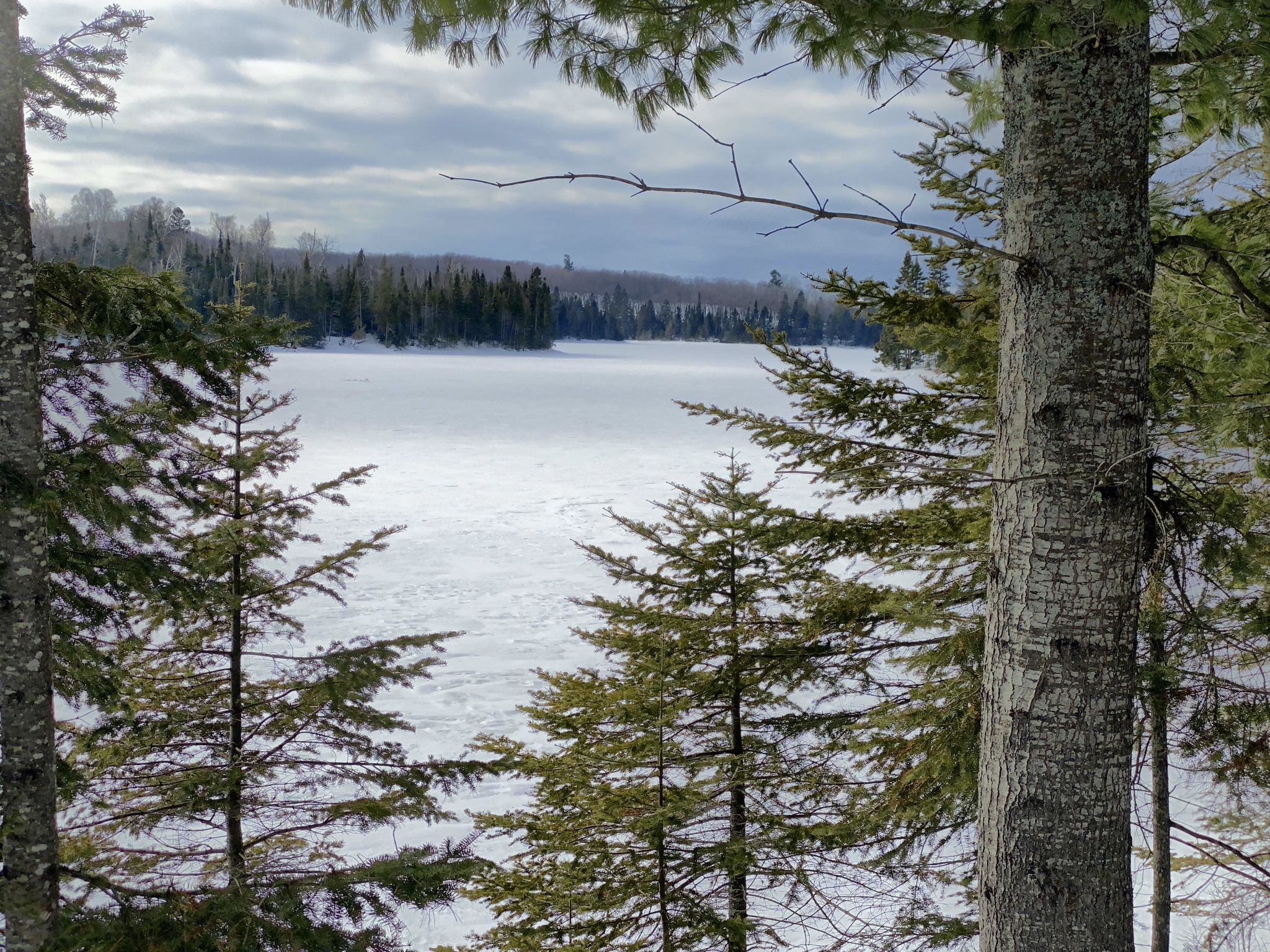Frozen lake framed by pine trees under a cloudy winter sky. - Superior Hiking Trail to Lake Agnes