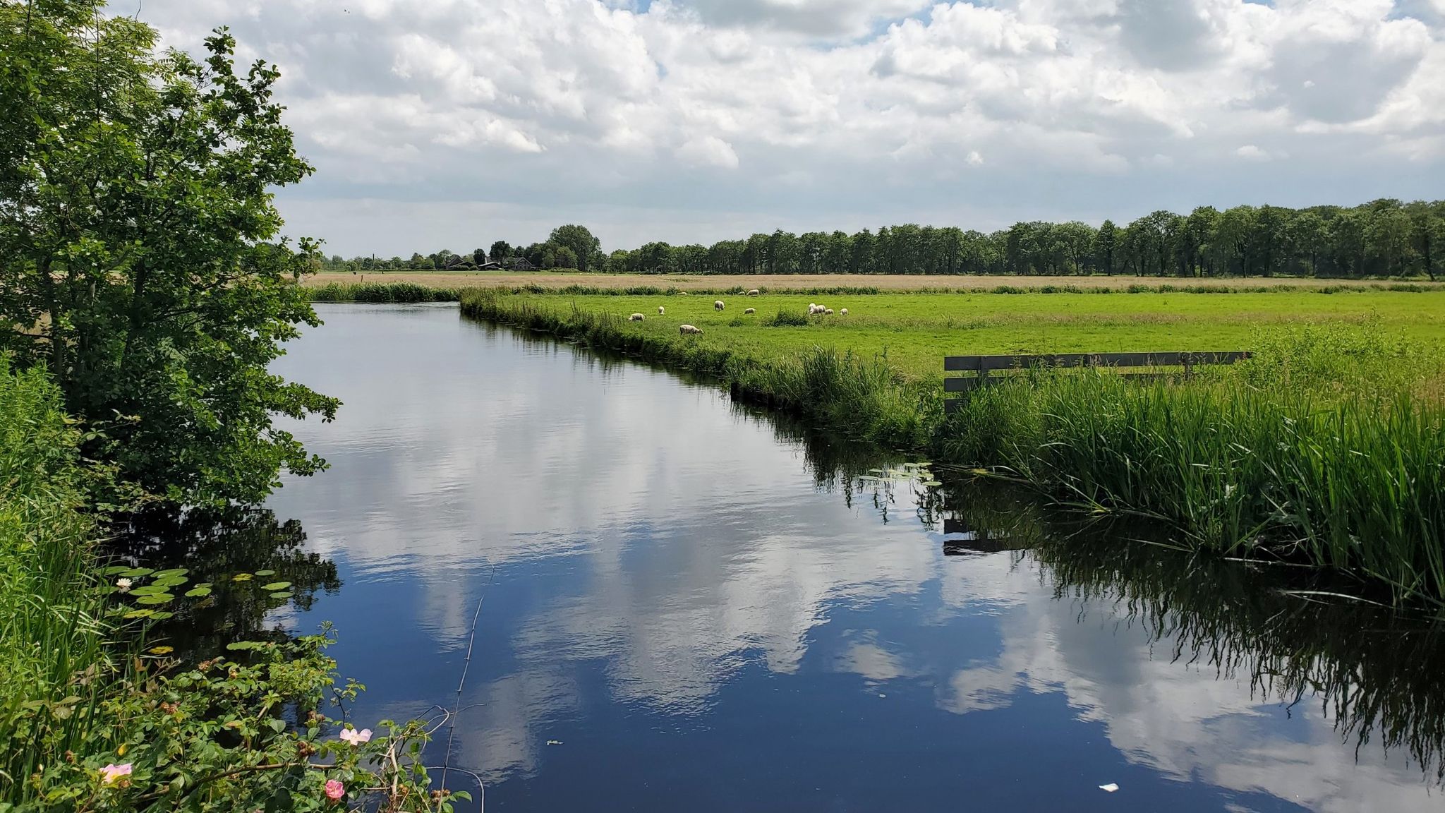 Langs de Raephorst, Dobbewatering, Voorschoten