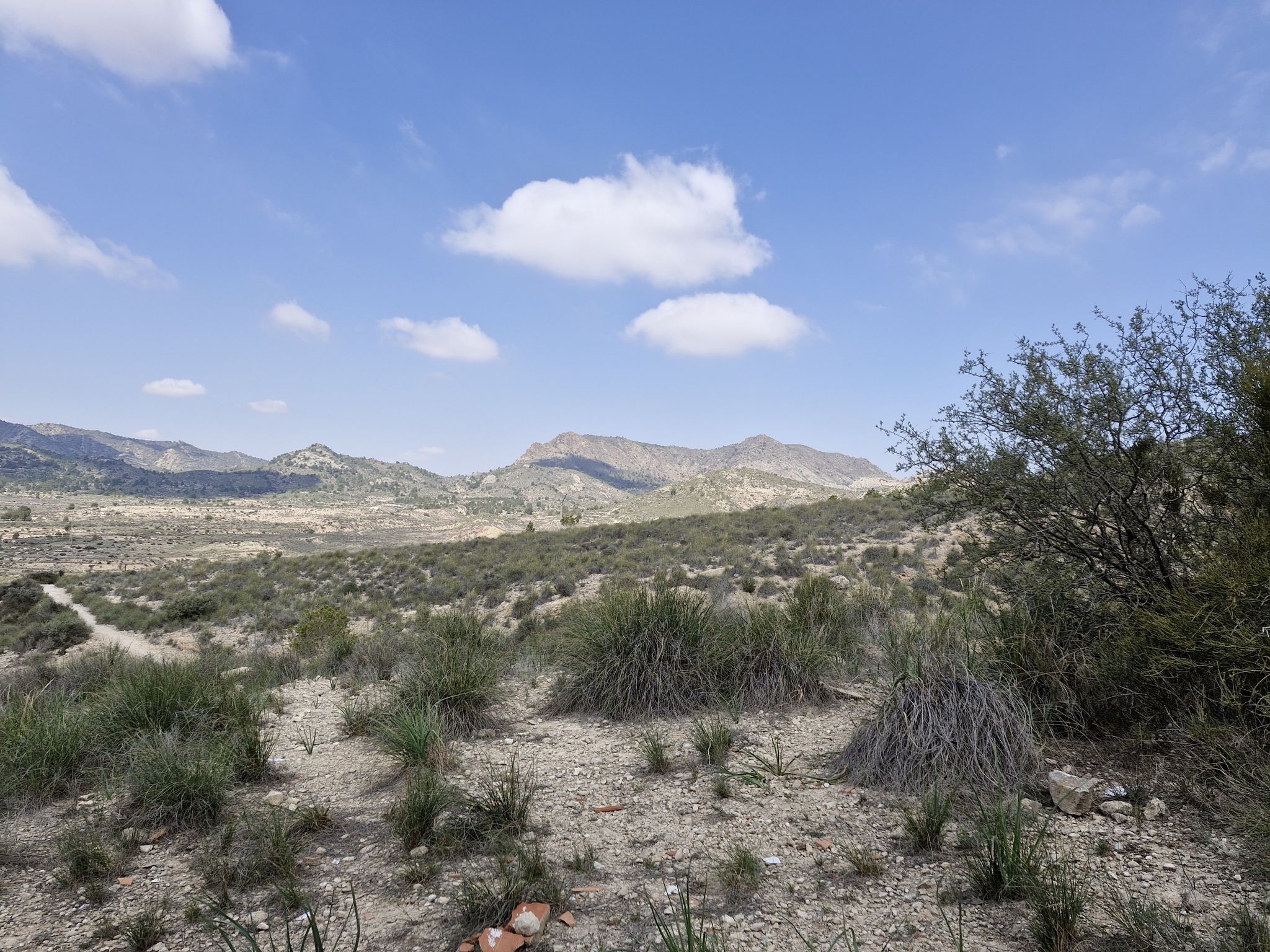 sierra de cámara
