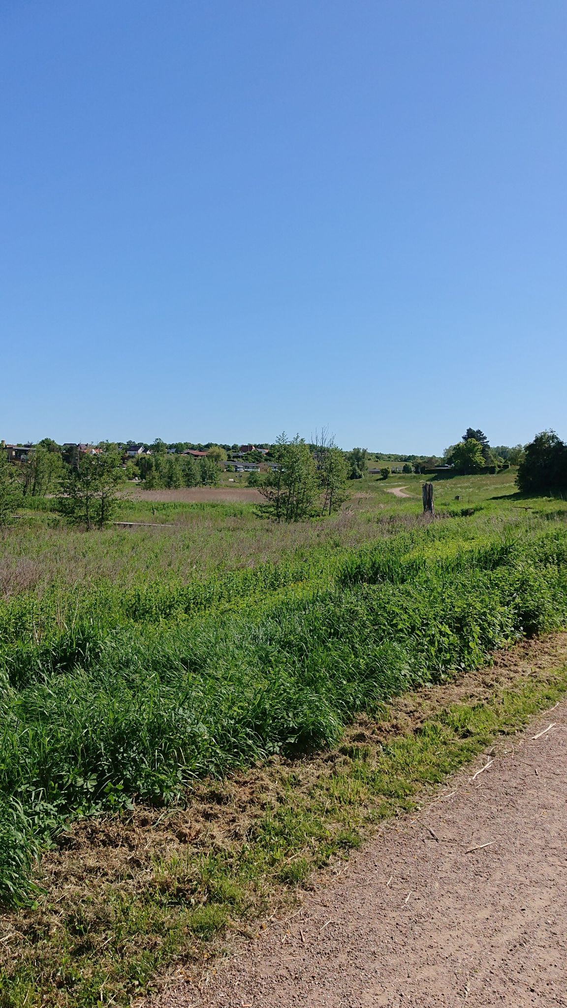 Sildebro ådal