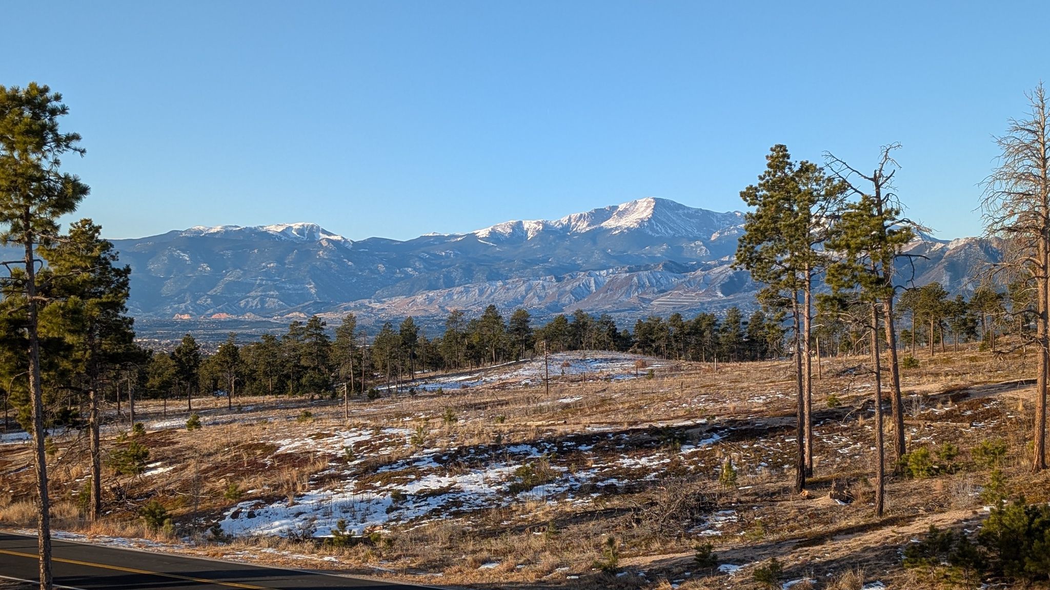 Snowy mountains in the distance behind a sunny, sparse pine forest. - Running loop from Pikes Peak Loop Trailhead