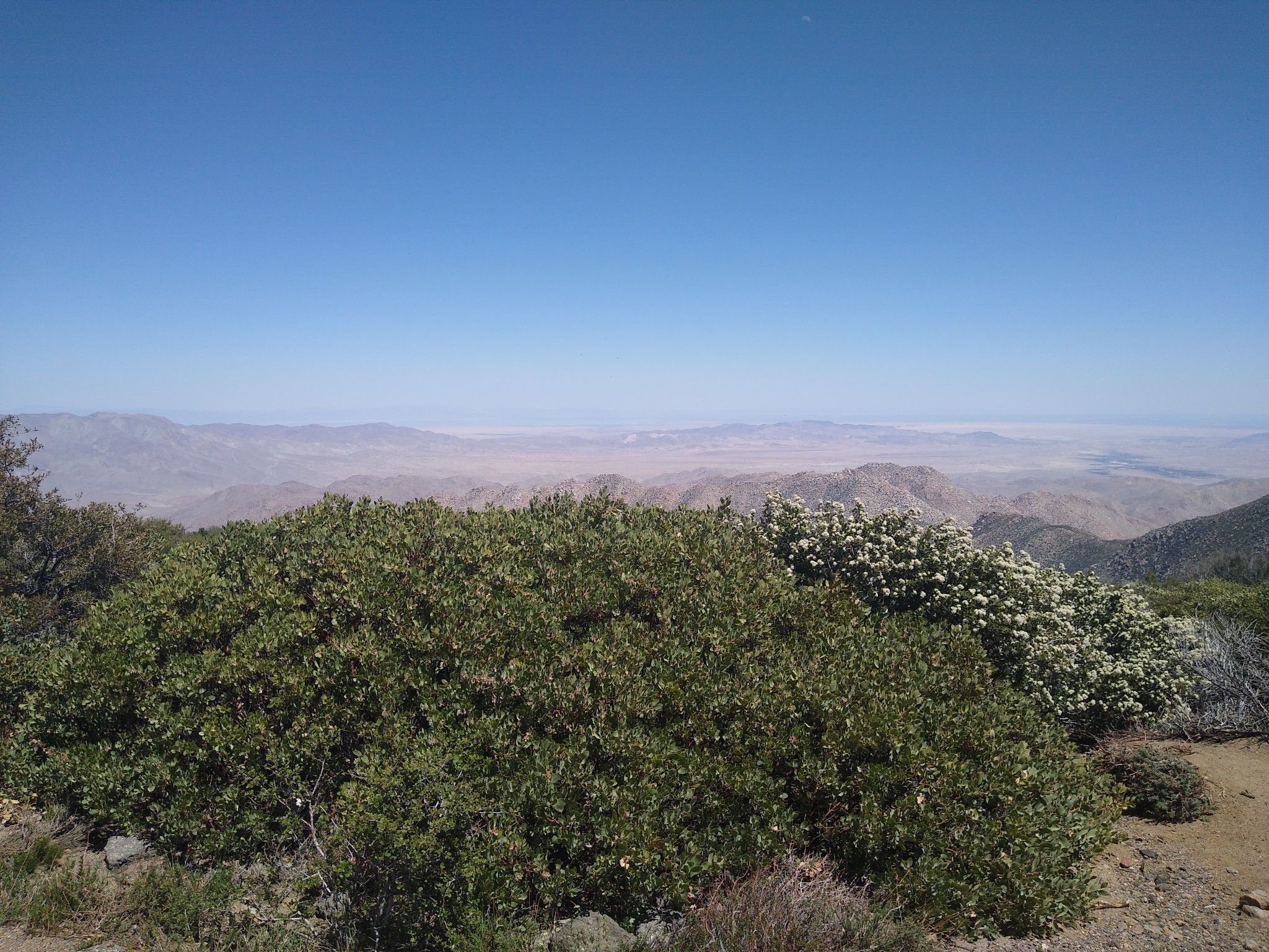 Desert view from Sunrise Highway
