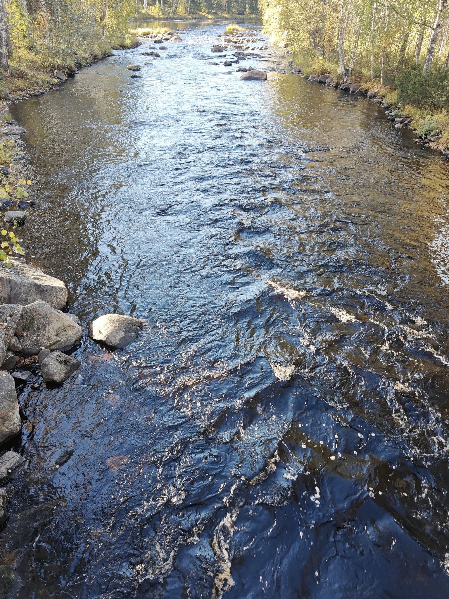 Rakkinekoski