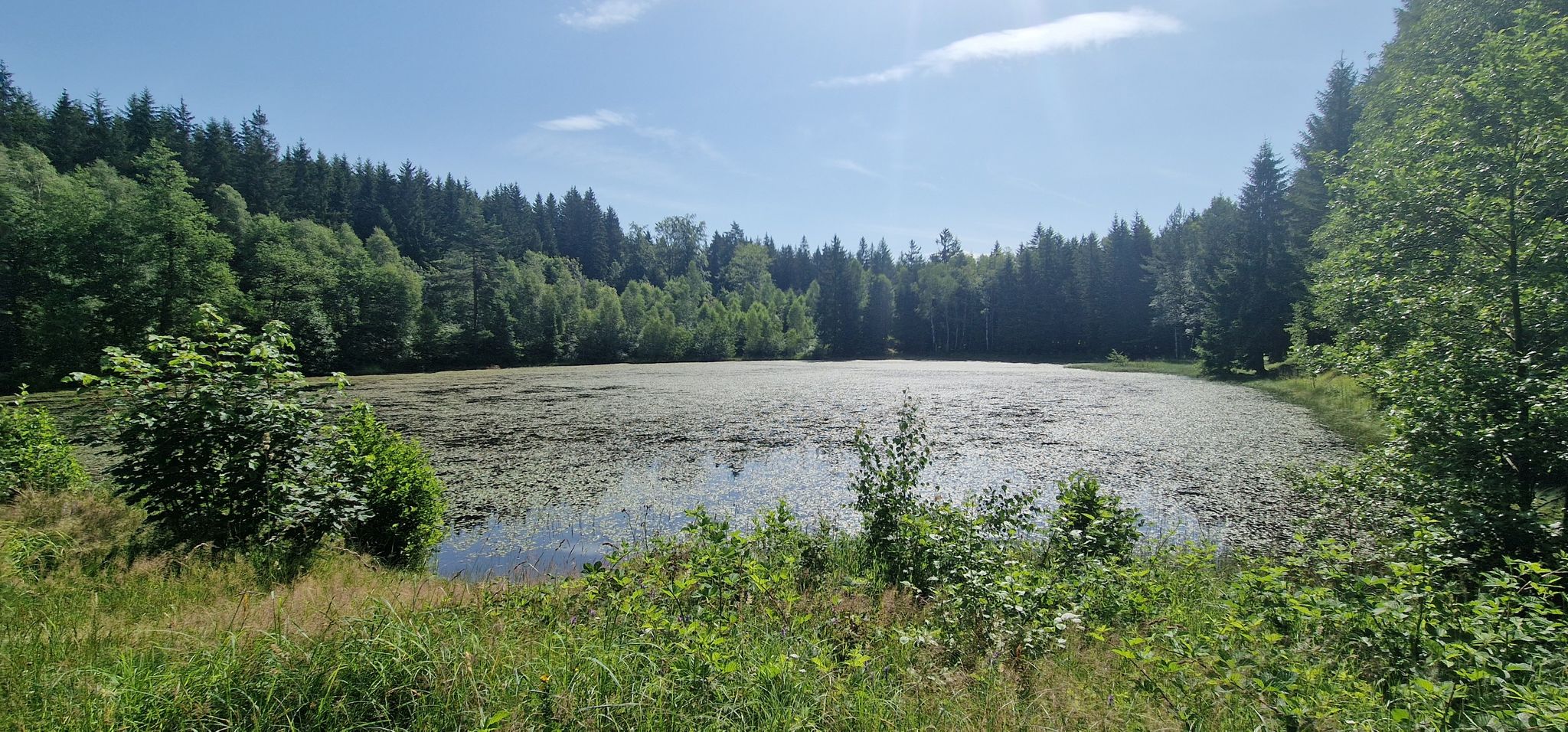 Taubenteich