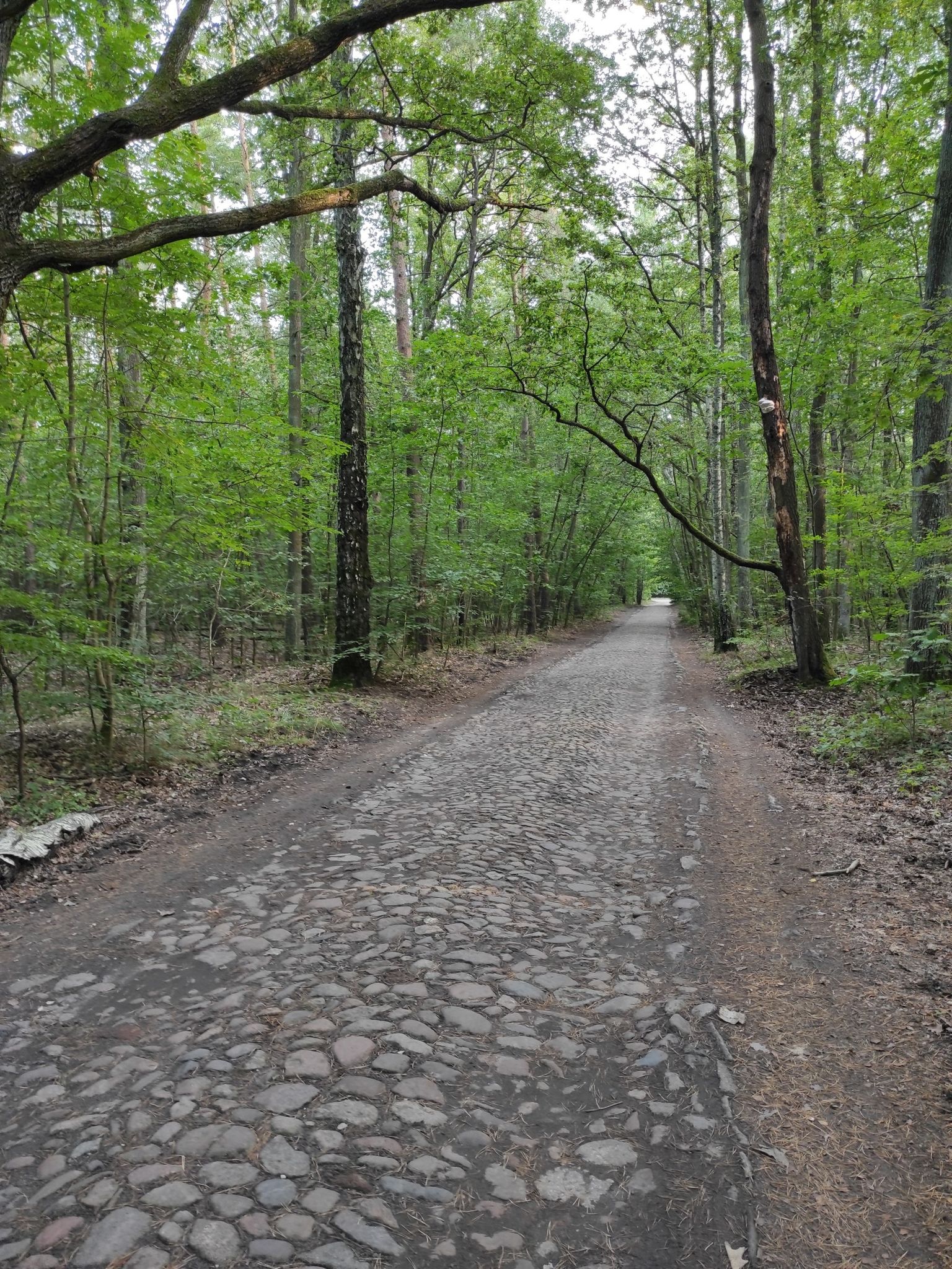 antient brick road