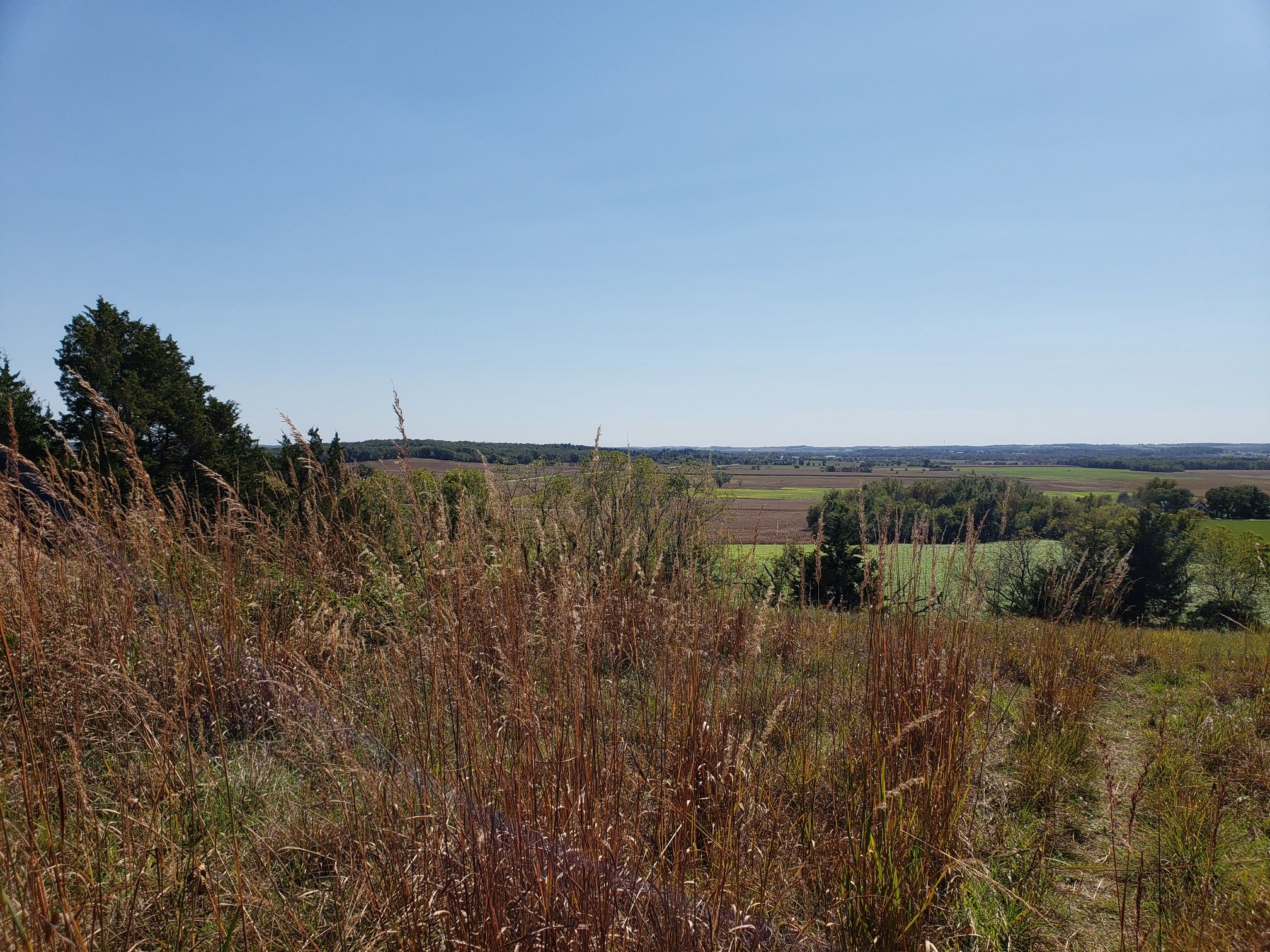 Tall, dry grasses in the foreground with a wide, sunny landscape beyond. - Ice Age Trail: Montrose and Brooklyn Wildlife Segments