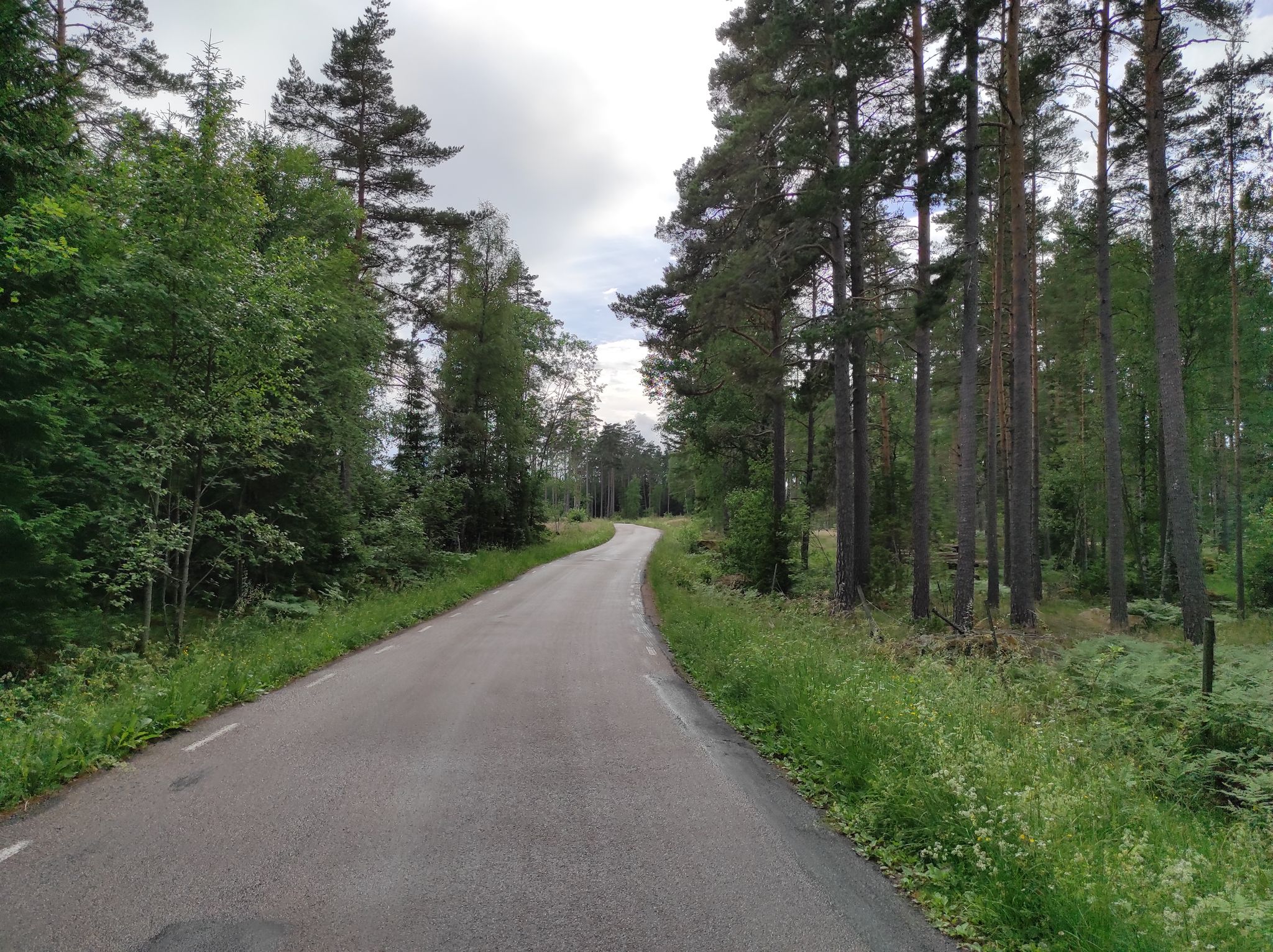 Taking the scenic route the final stretch towards Uppsala.