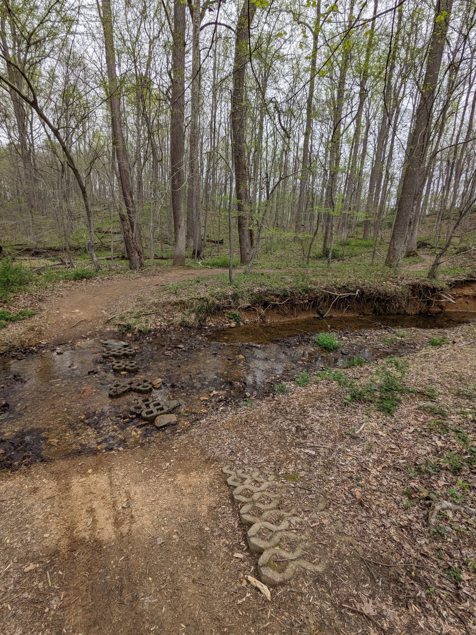 A muddy stream crossing a dirt path in a bare forest on an overcast day. - Seneca Ridge and Greenway Trail Loop