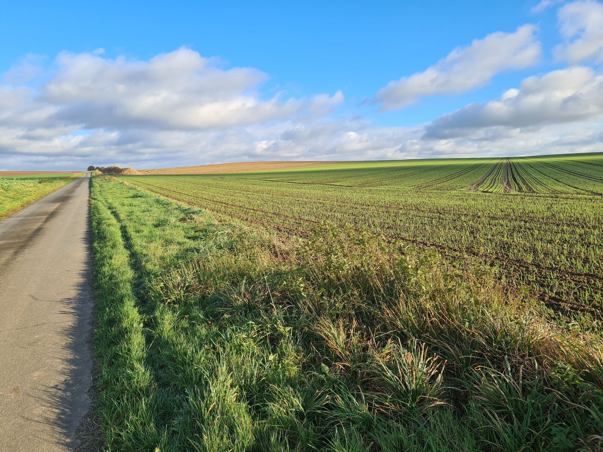 auf dem Weg zum Bleckmarberg