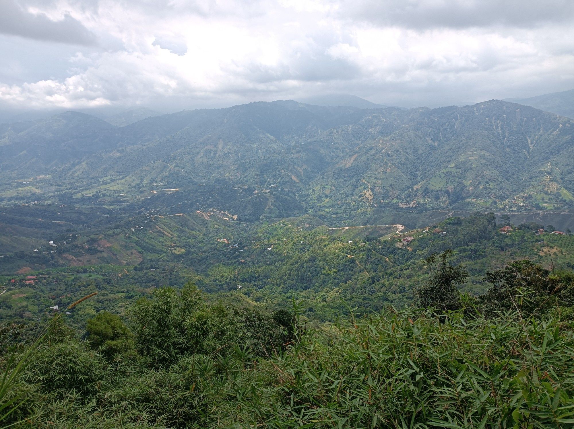 mirador