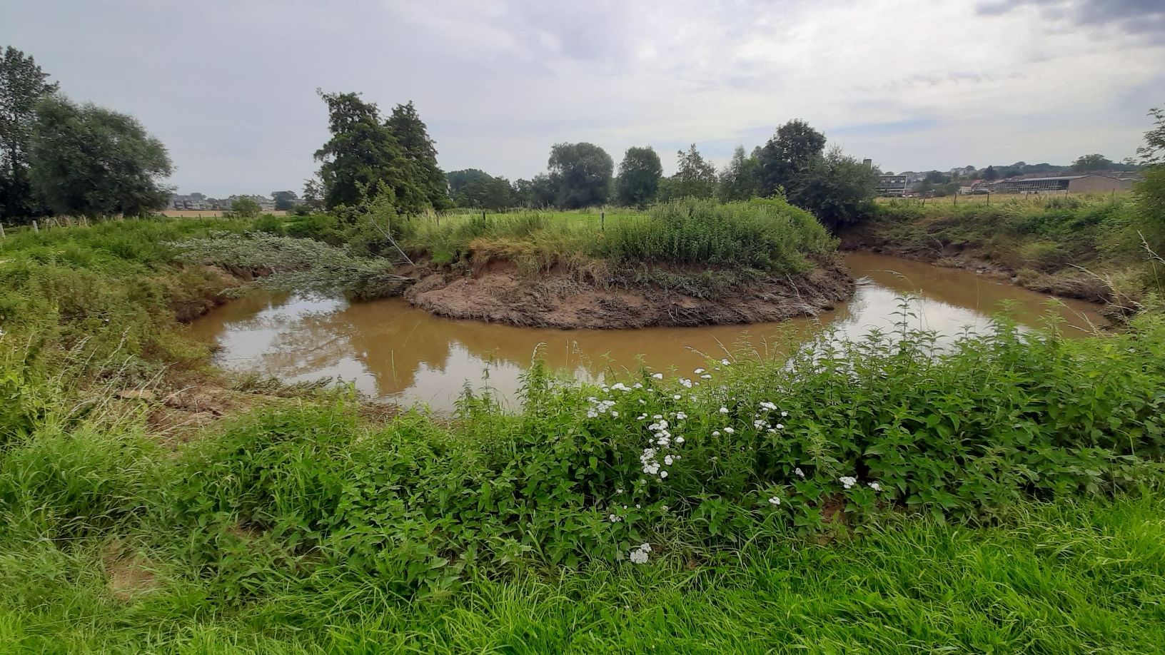 meanders...