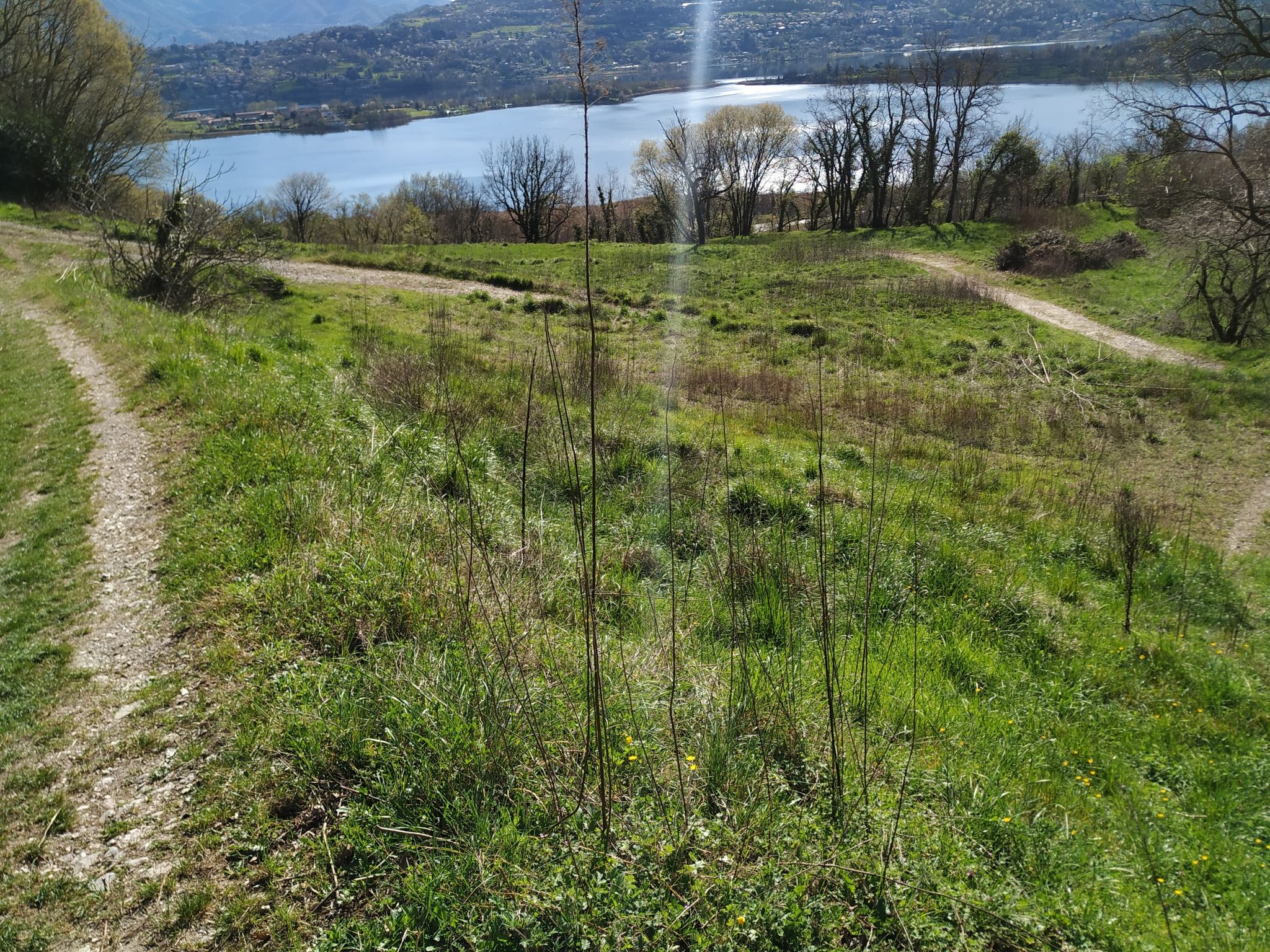 sentiero storico