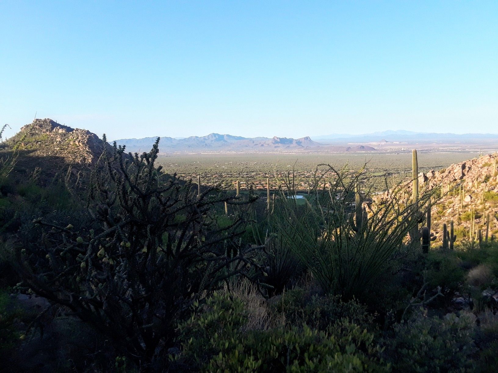 Wide desert landscape with distant mountains under a clear sky. - Wild Burro and Alamo Springs Loop