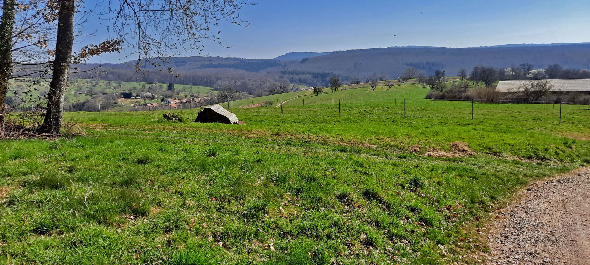 Im Talkessel Petit Wingen und der Luchsenkopf im Hintergrund