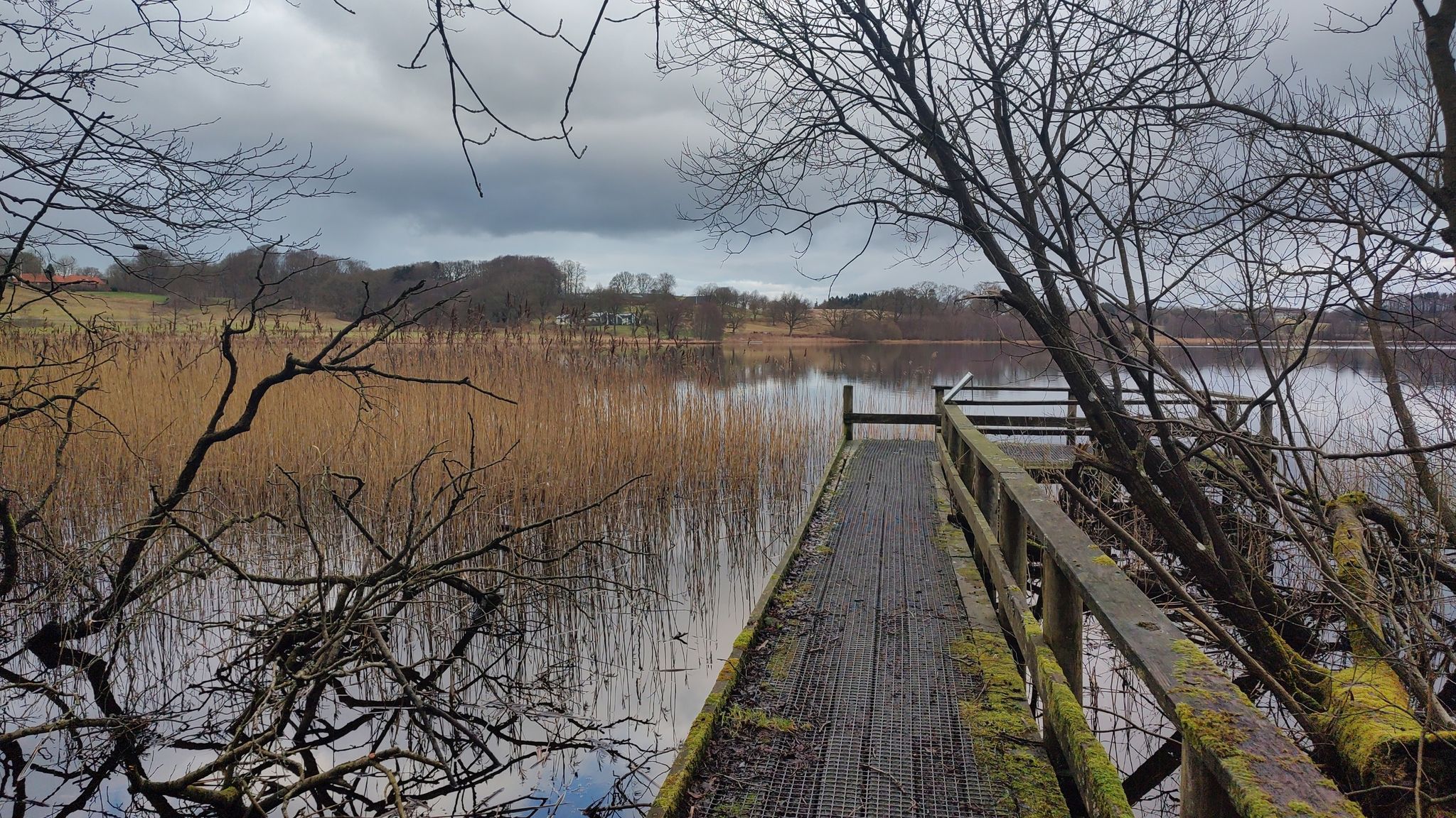 Jetty