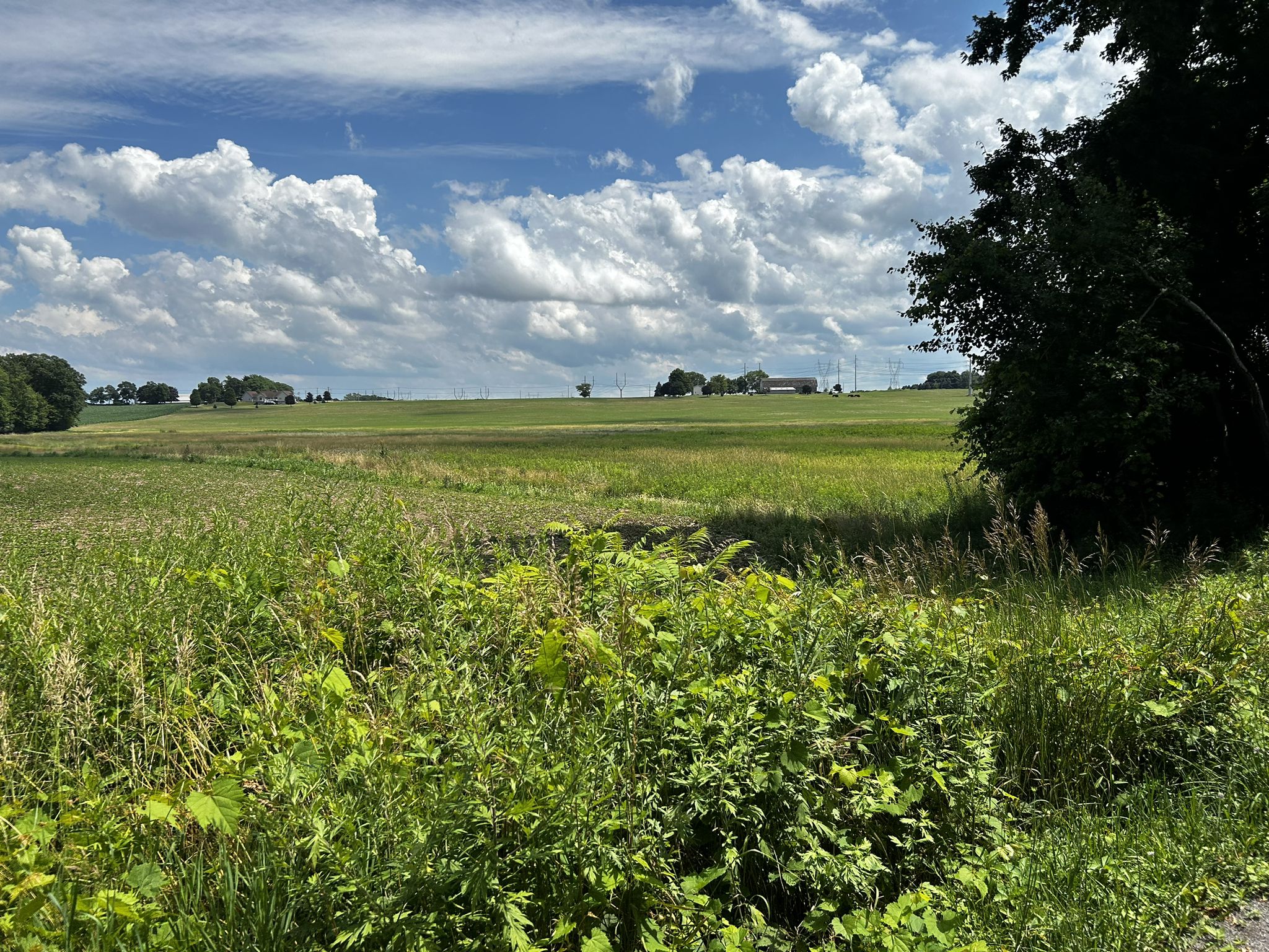Expansive green field under a bright, partly cloudy blue sky. - Rochester to Mendon loop via Erie Canal Trail