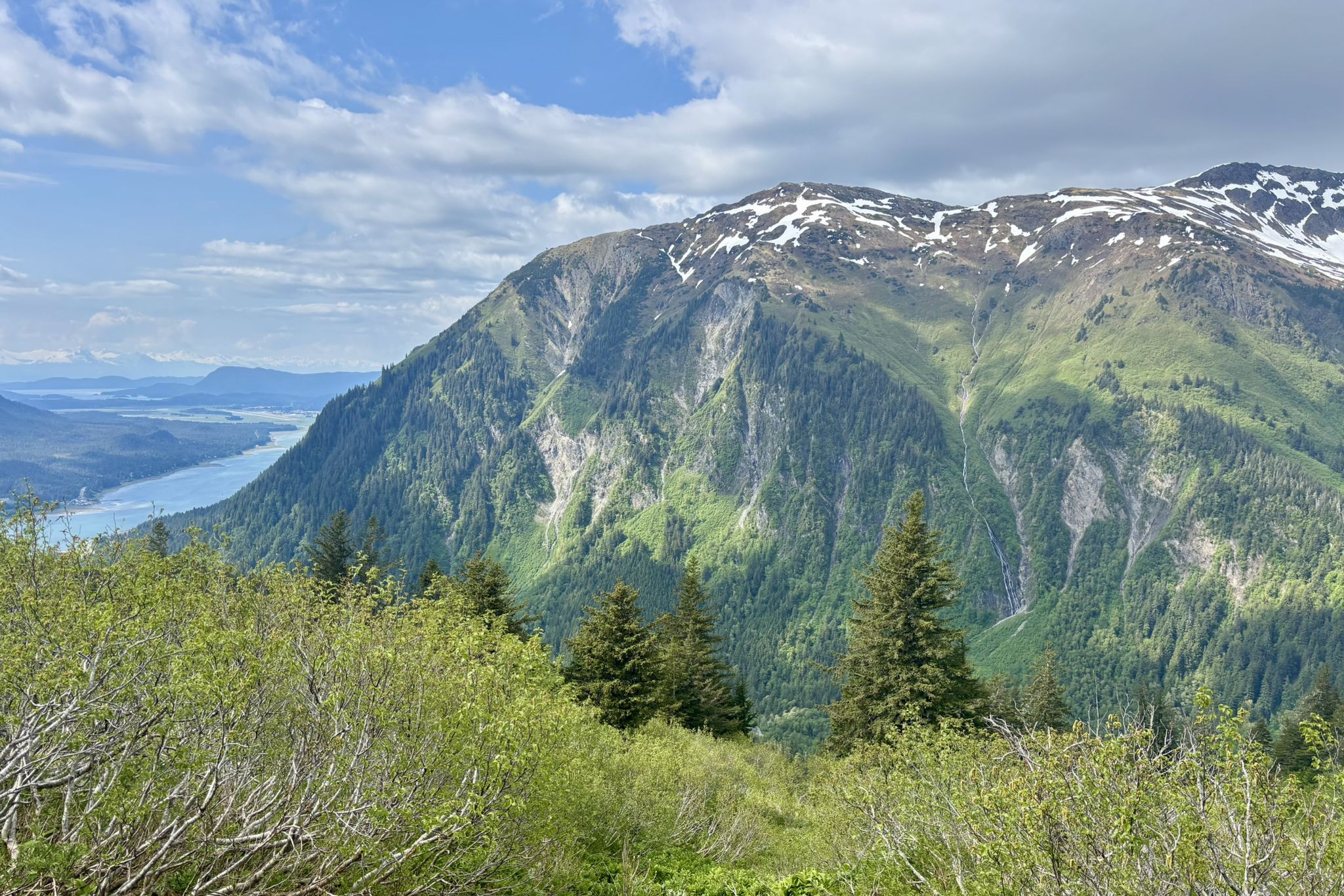 Green forested mountains with snow patches, distant water, and cloudy sky. - Mount Roberts Trail to Father Brown Cross