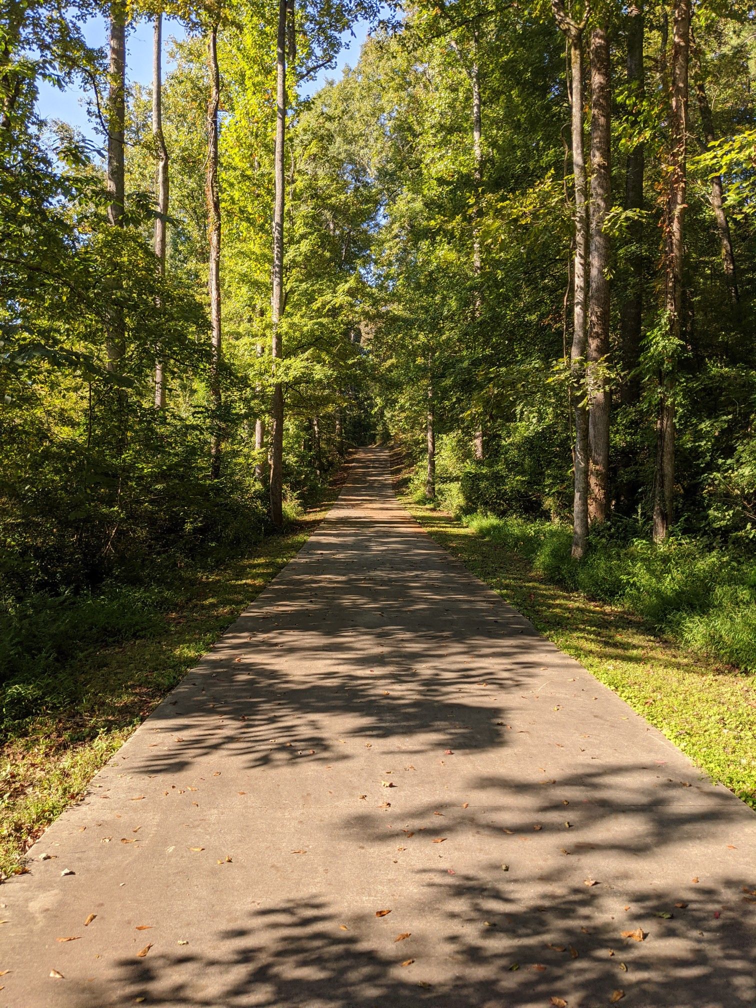 A paved path stretches through a sun-dappled forest with tall green trees. - South River PATH Trail