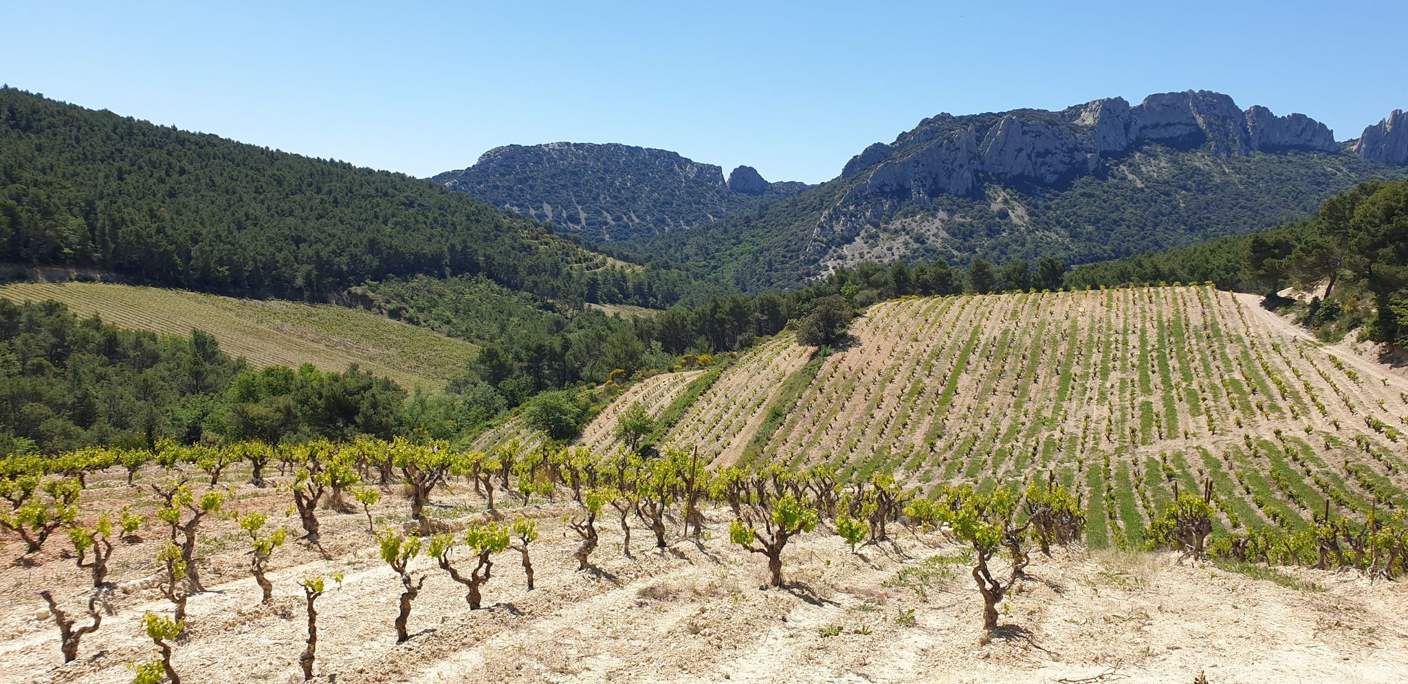 km 5,9 futures bouteilles