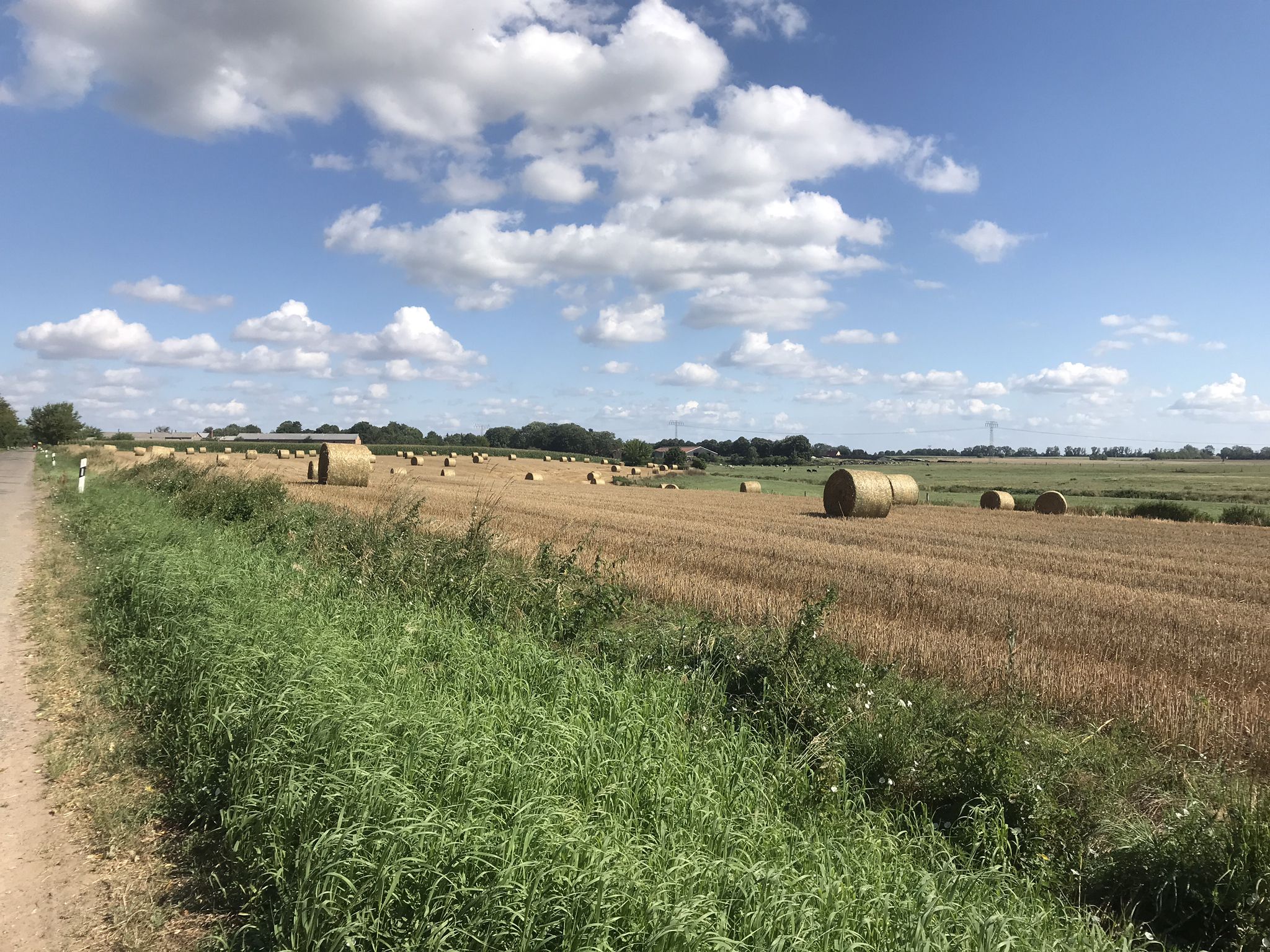 land(wirt)schaftliche Idylle vor Gellendin