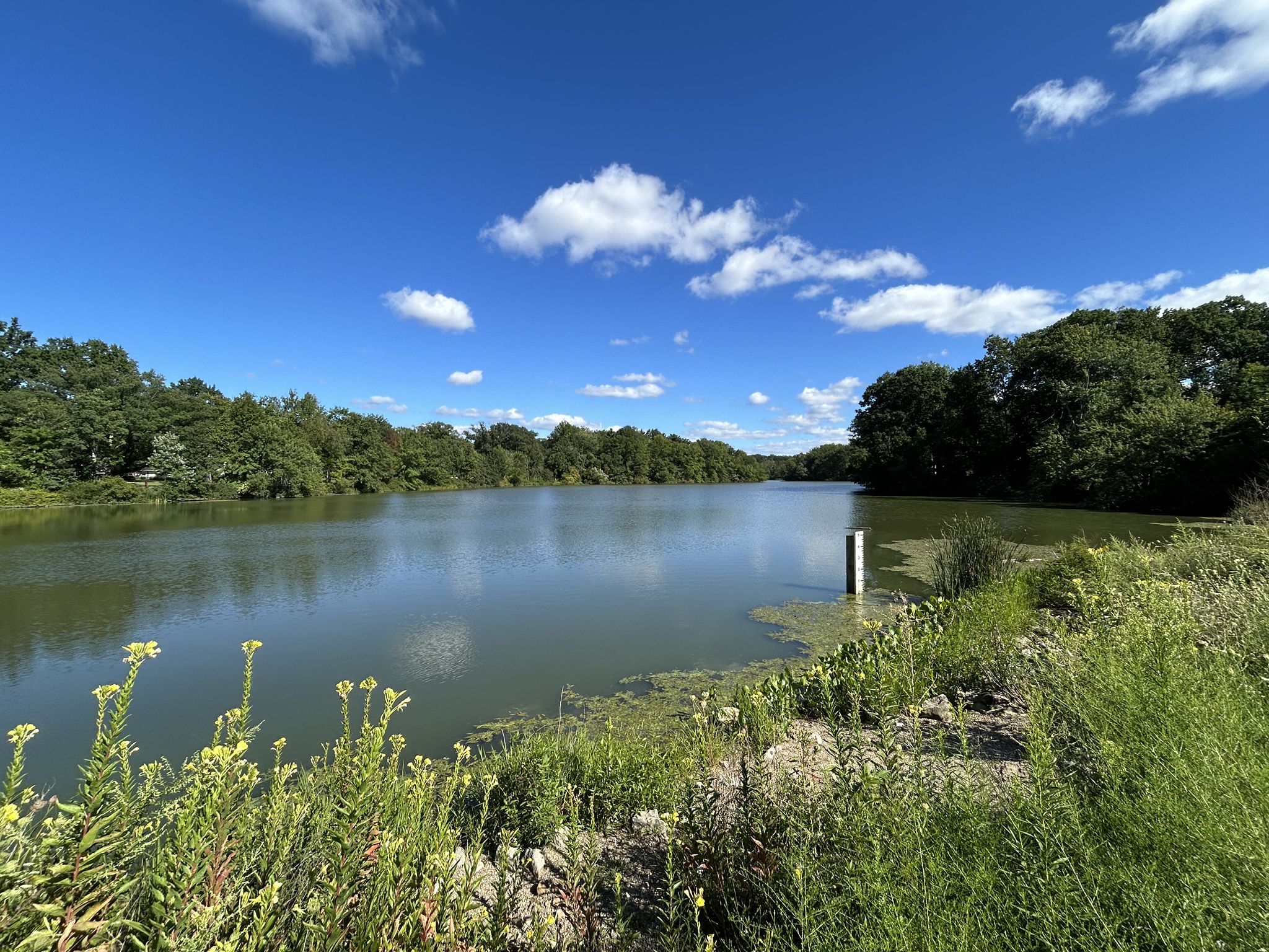 Wide lake with green trees under a bright blue sky with white clouds. - Lower Shaker Lake and Horseshoe Lake Loop