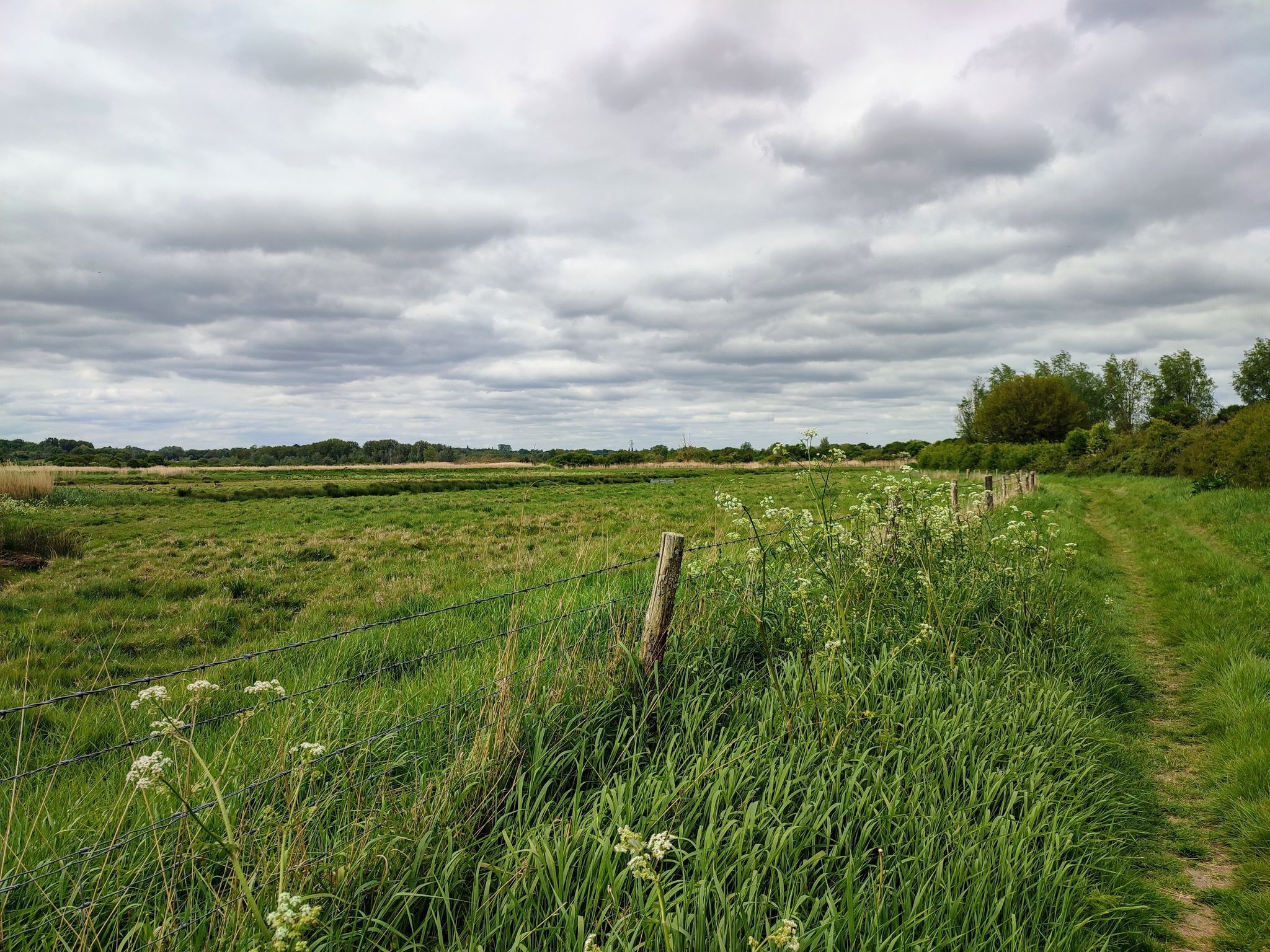 Idyllische Wiesenlandschaft
