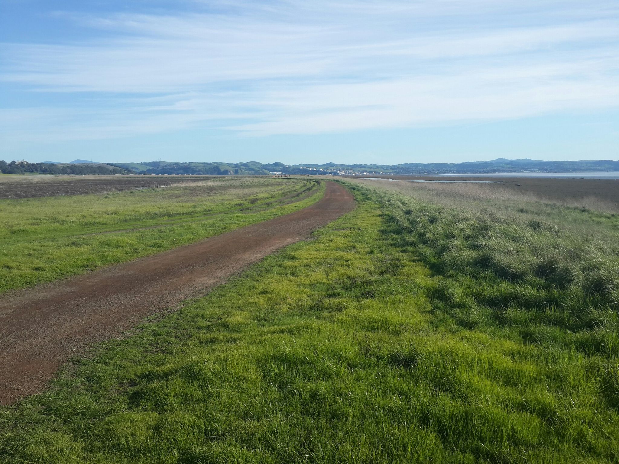 A winding dirt path through green fields under a bright sky. - Mare Island San Pablo Bay Loop Trail