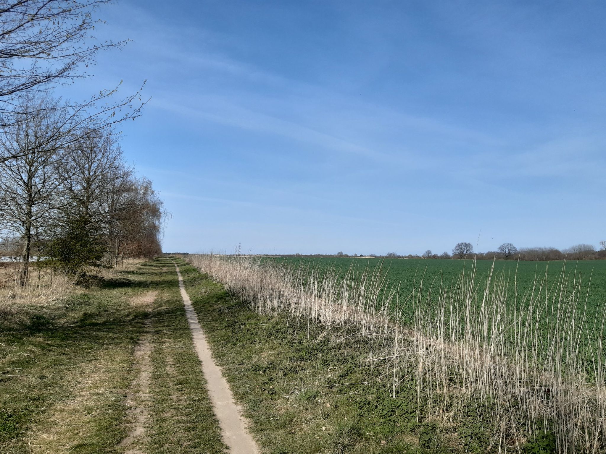 am Wegesrand 