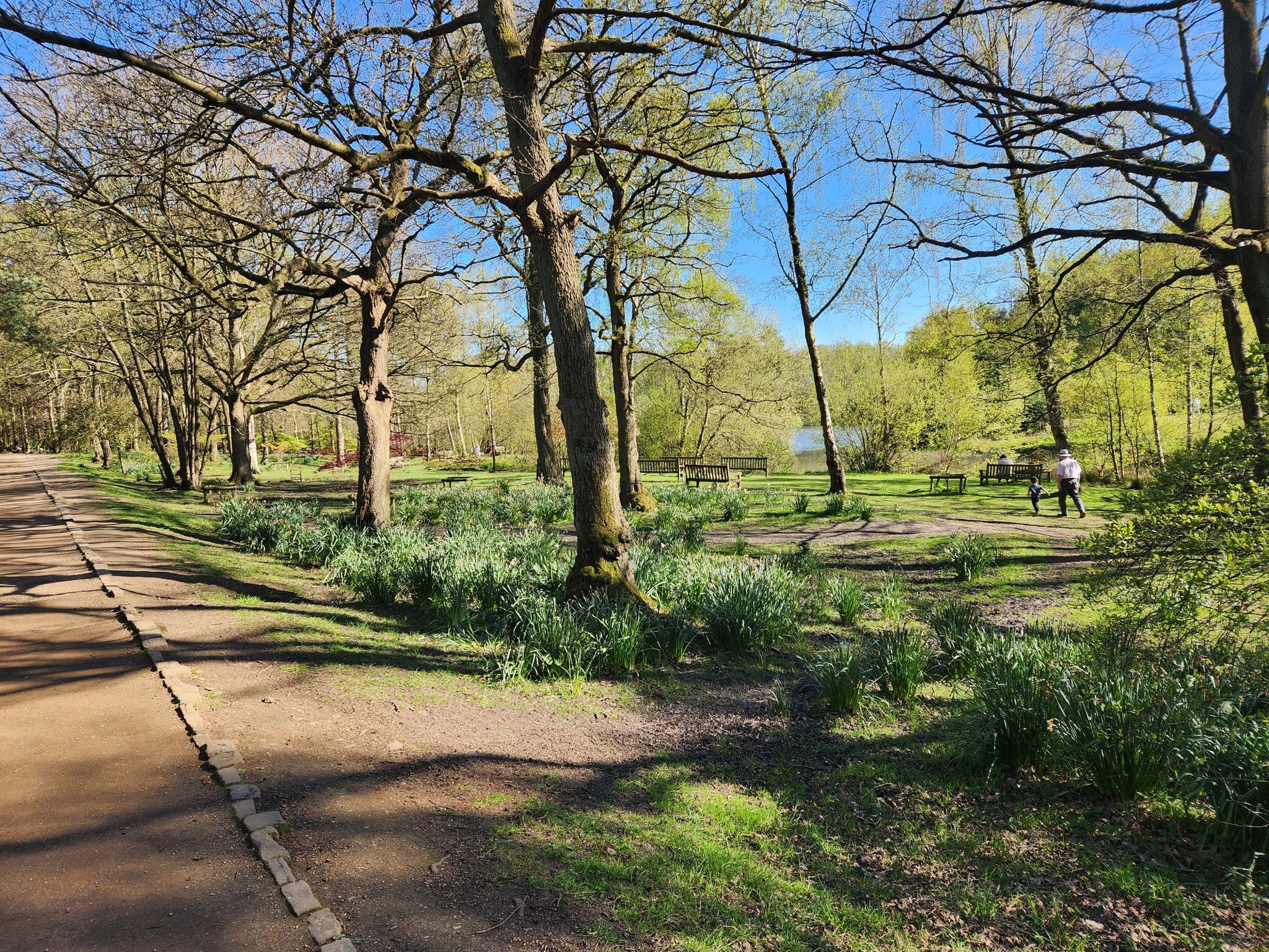 Golden Acre Lake