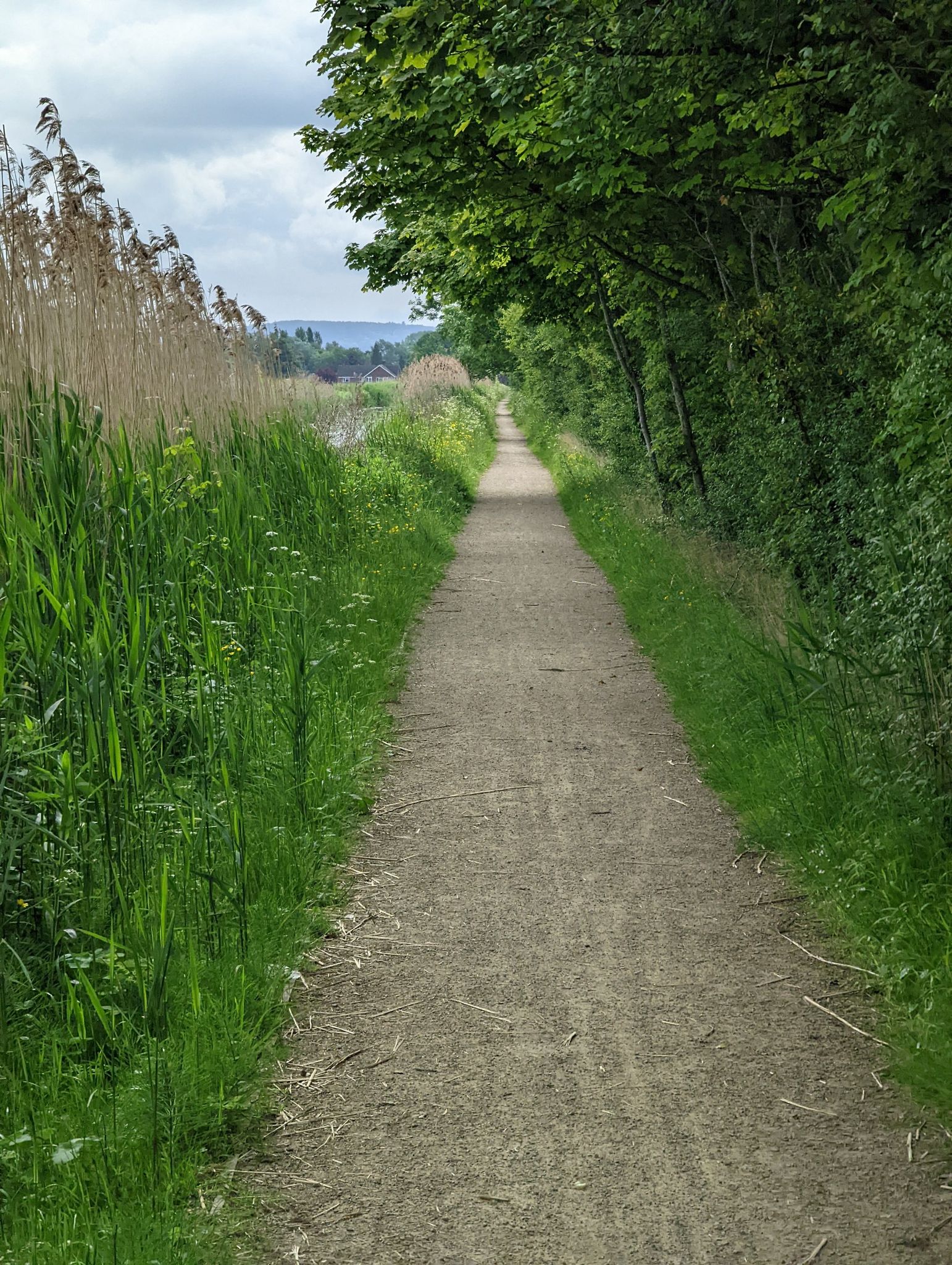Grand Union Canal towpath east of Aylesbury